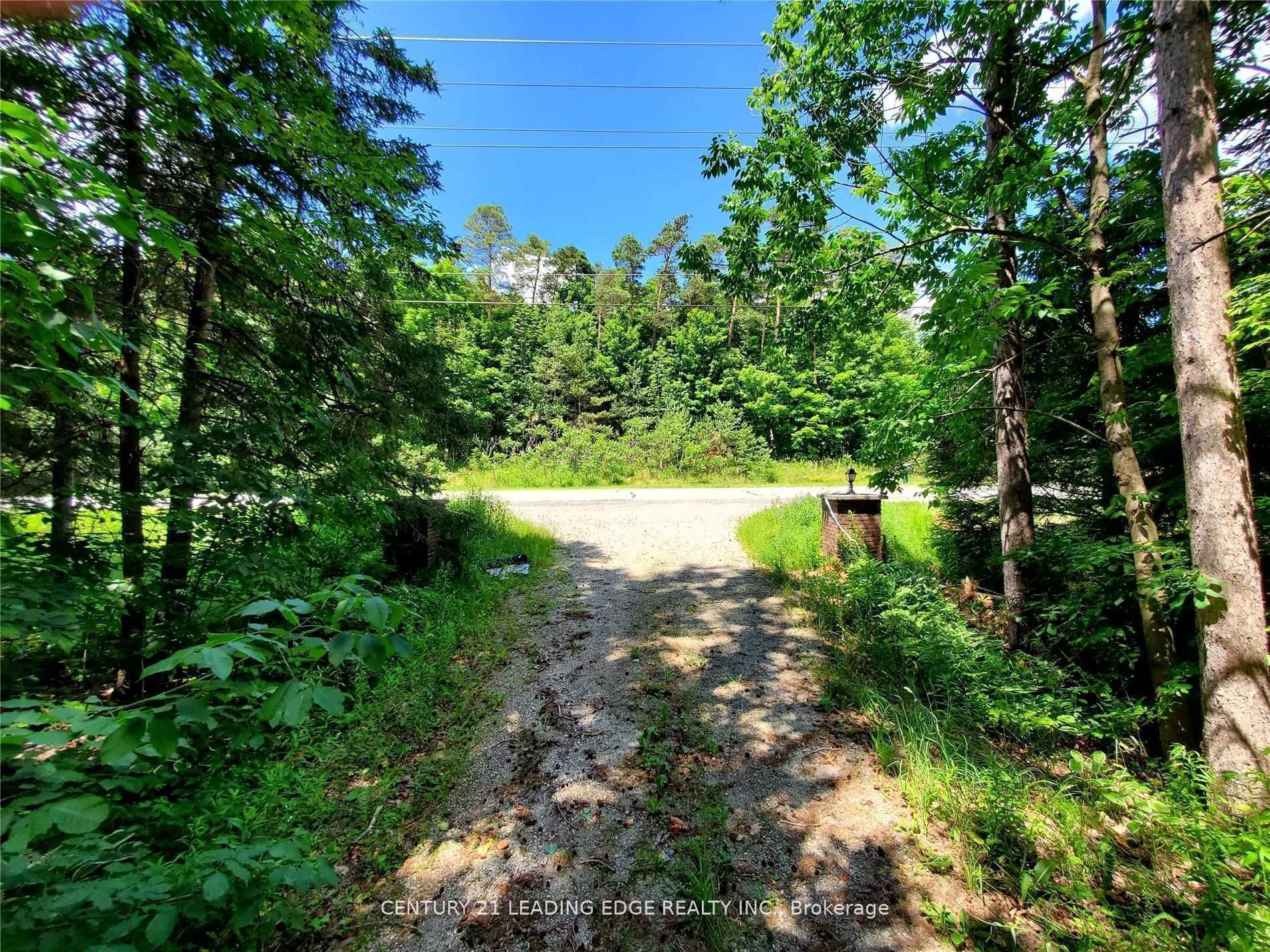 4035 Aurora Road, Whitchurch-Stouffville, ON L3Y 4W1 photo 4