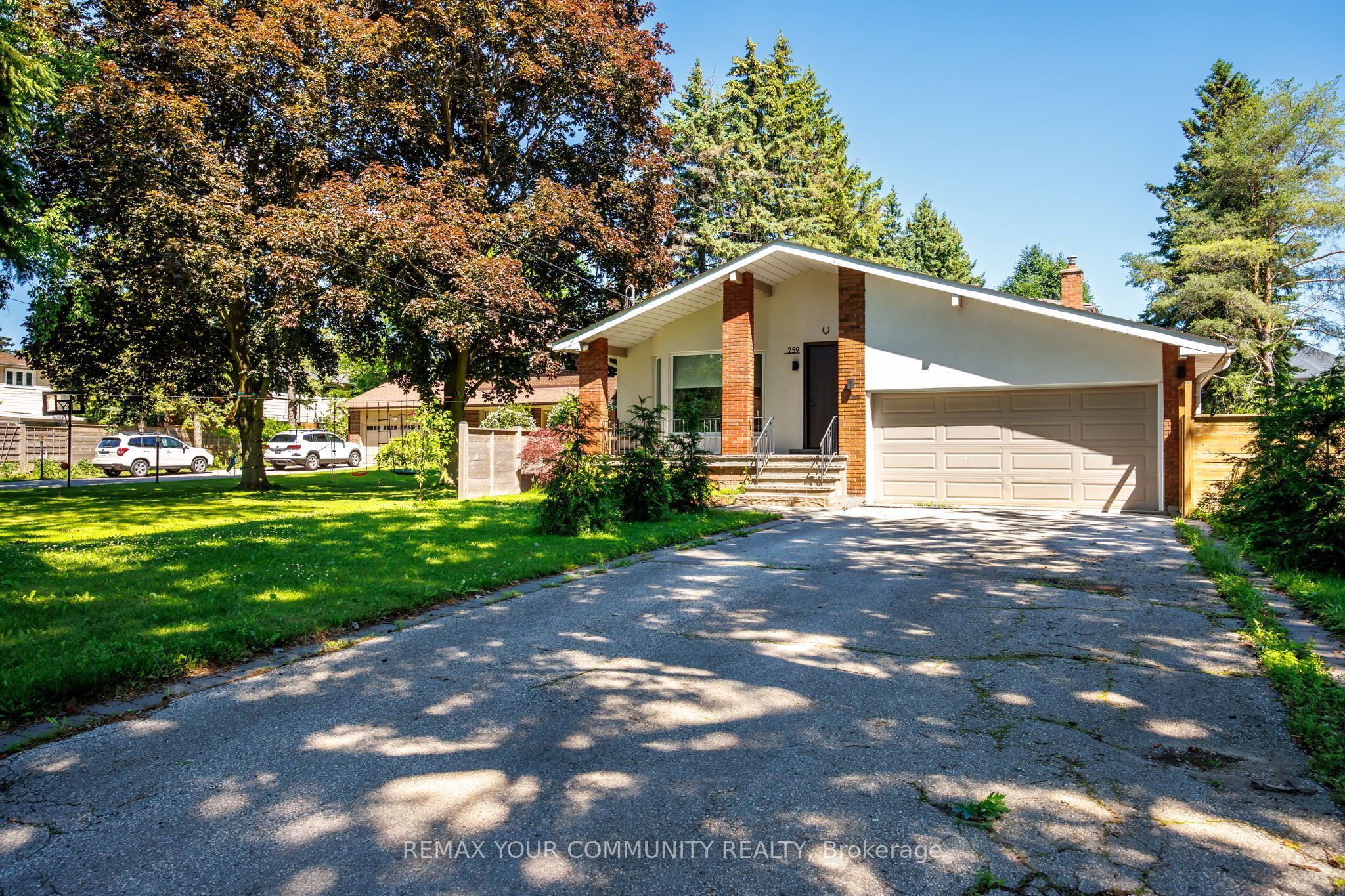 259 Rumble Avenue, Richmond Hill, ON L4C 4G5 photo 3