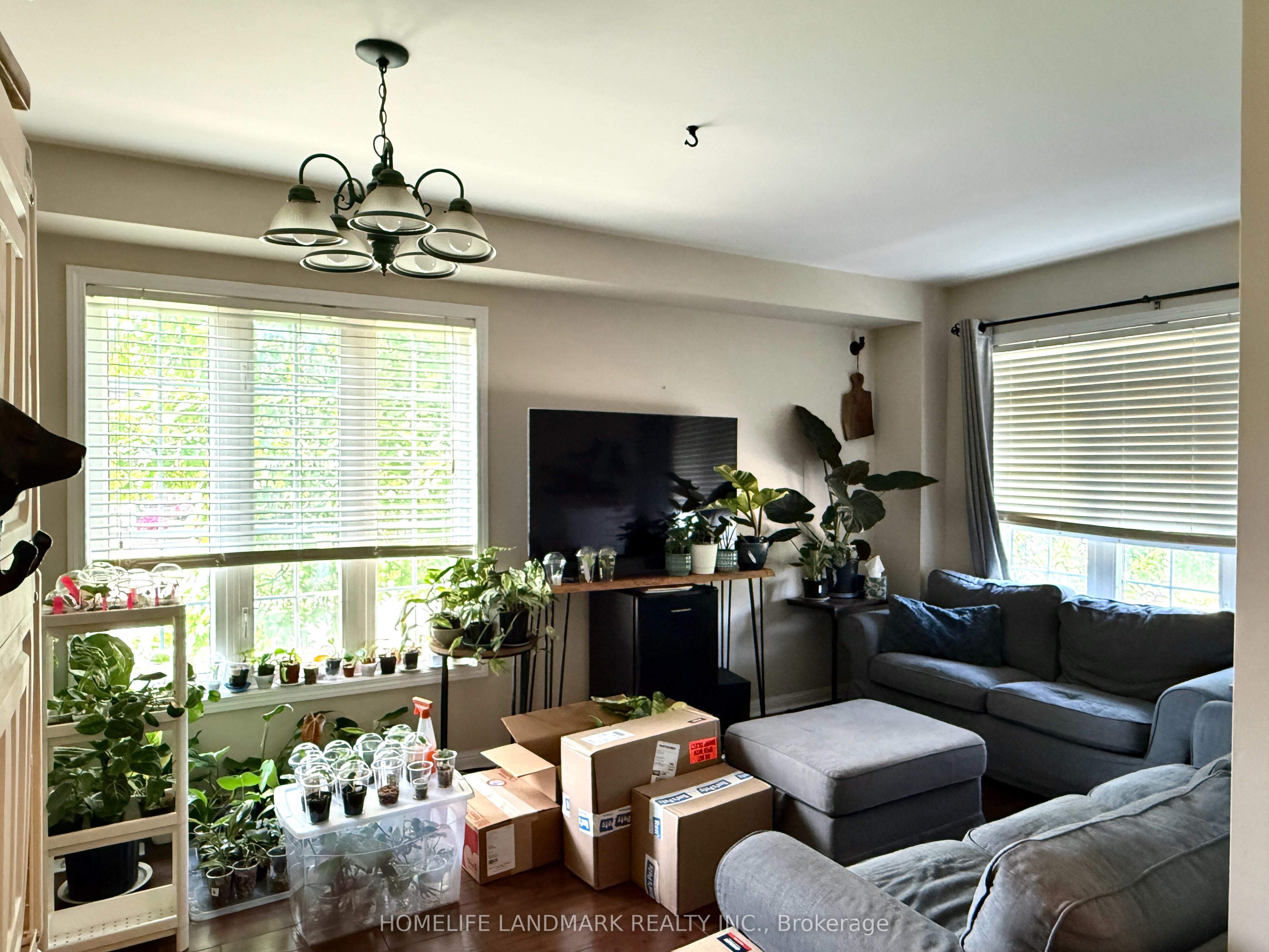 350 Gilpin Drive, Newmarket, ON L3X 3H2 photo 3