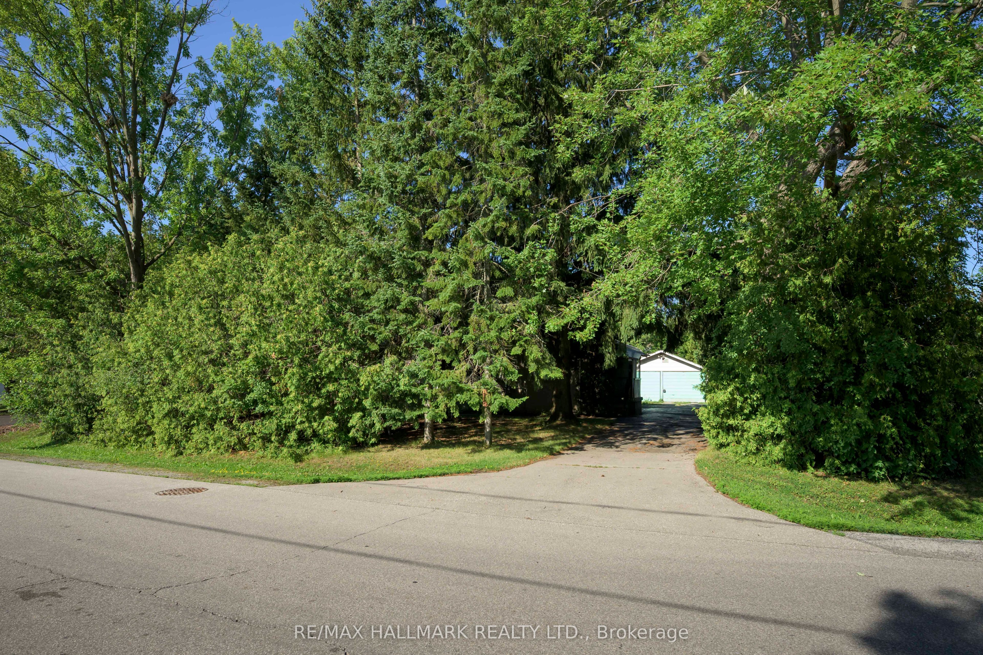 4 Crestview Road, King, ON L0G 1N0 photo 4