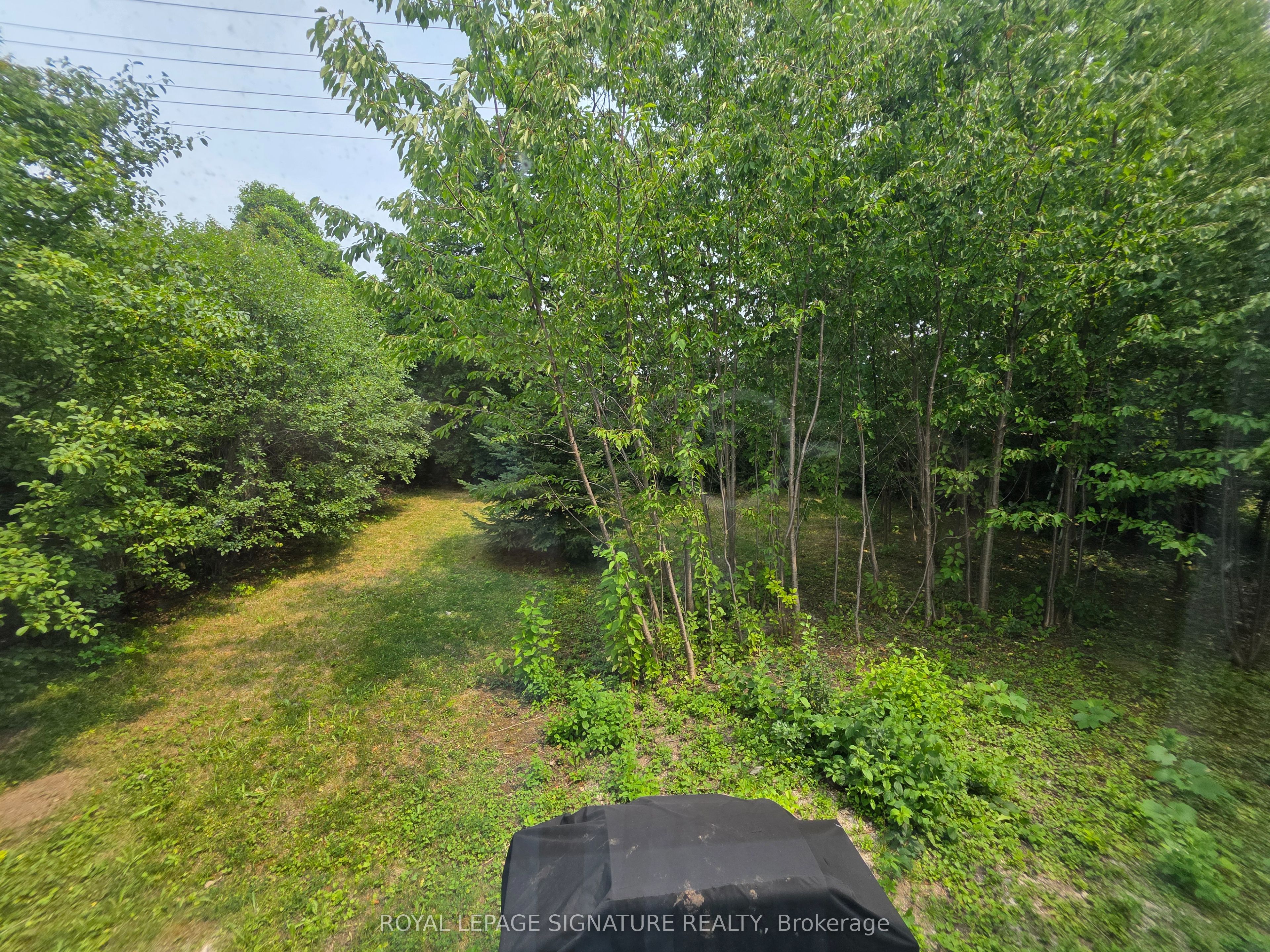 27 Maralim Road Main, Richmond Hill, ON L4C 2K6 photo 5