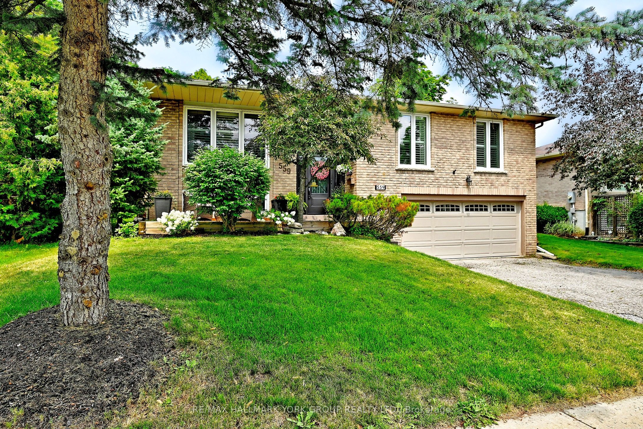 559 Haines Road, Newmarket, ON L3Y 6V4