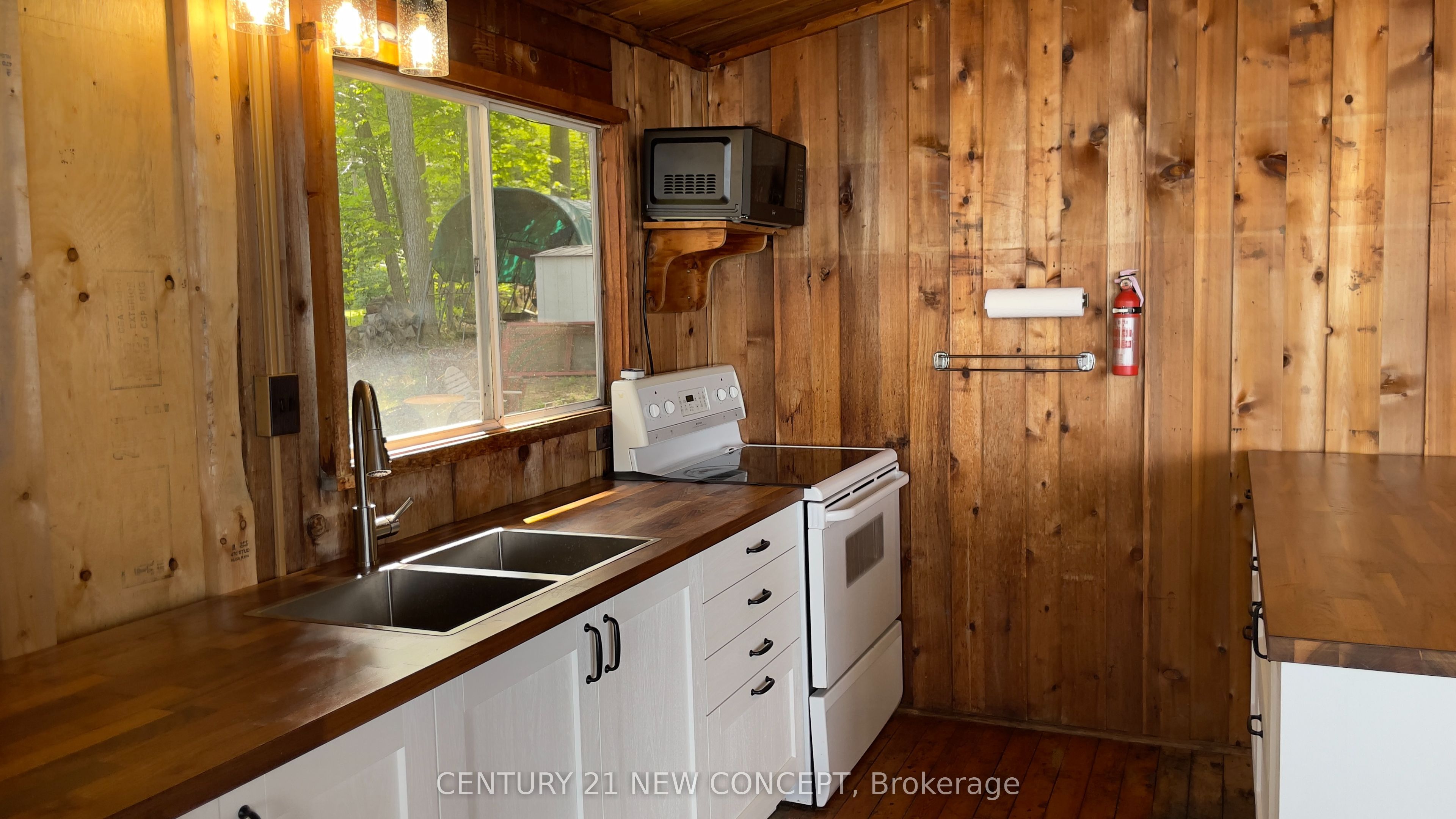 42 Snake Island Road, Georgina Islands, ON L4P 3E9 photo 2