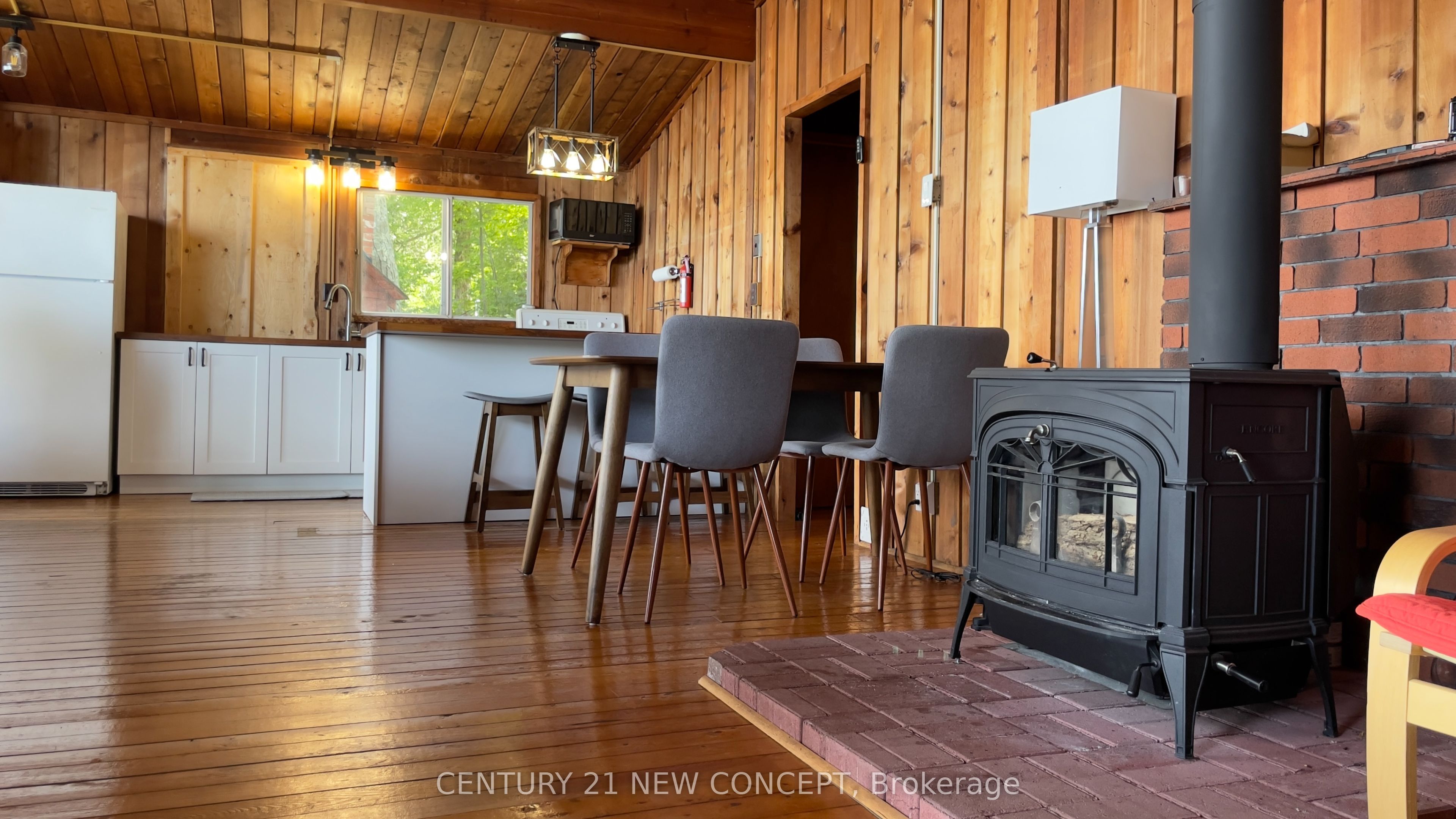 42 Snake Island Road, Georgina Islands, ON L4P 3E9 photo 4