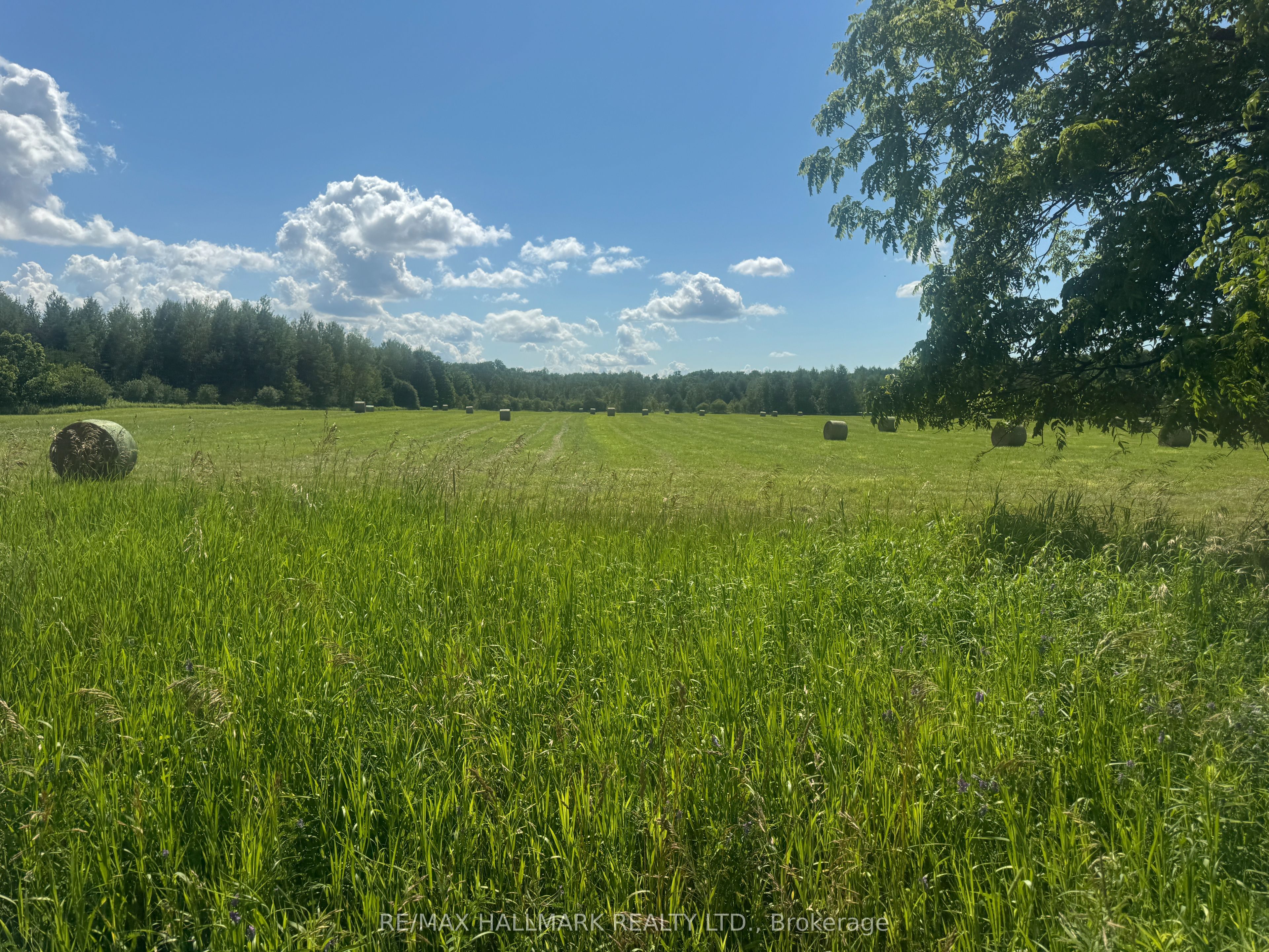 17236 Kennedy Road, Whitchurch-Stouffville, ON L4A 2L9