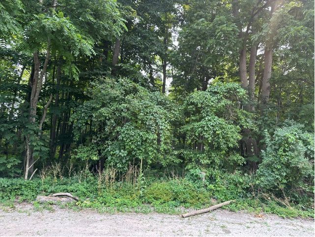 2728 25th Side Road, Innisfil, ON L9S 3T5