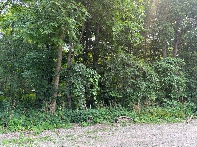 2728 25th Side Road, Innisfil, ON L9S 3T5 photo 5