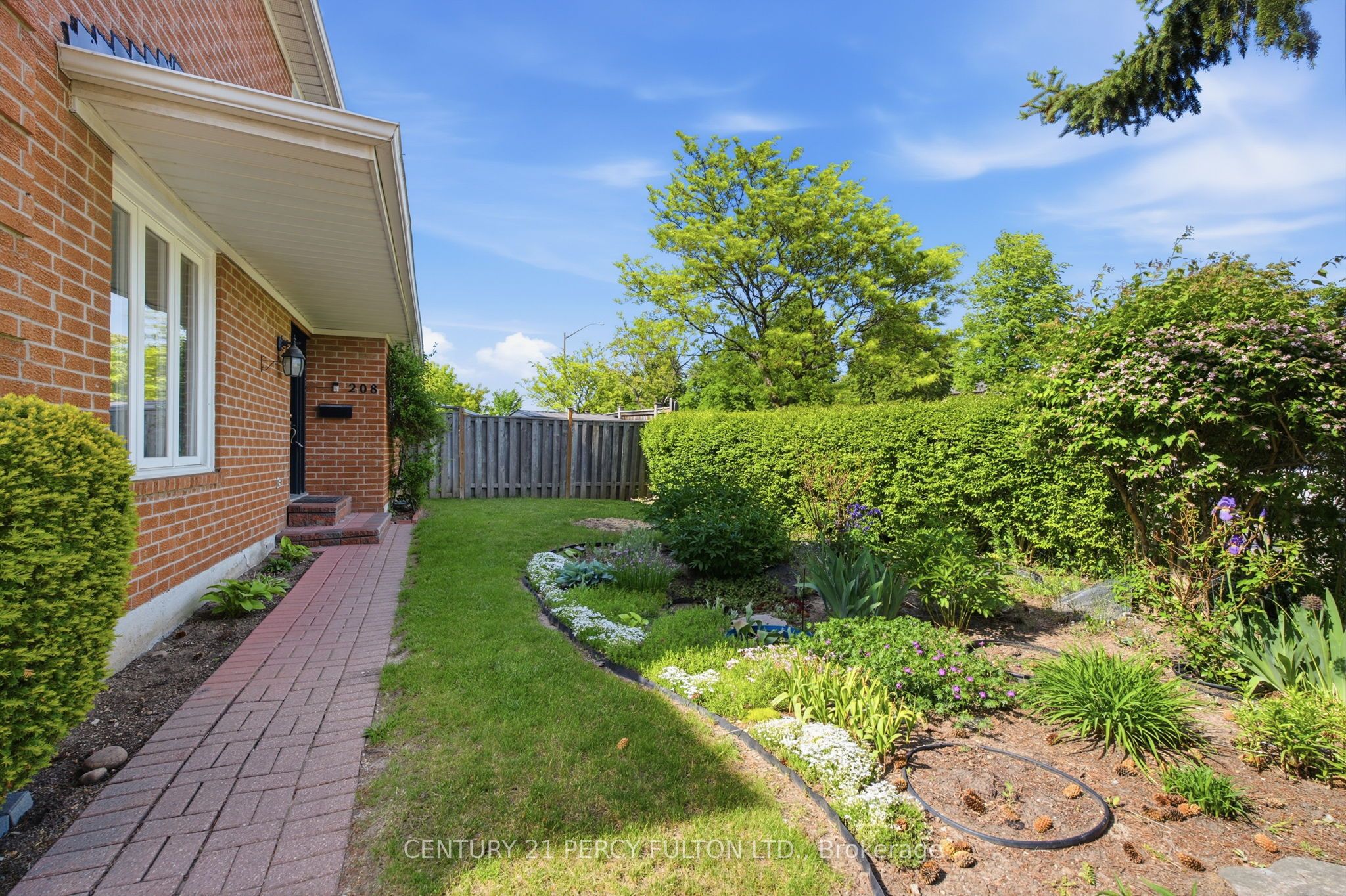 208 Conley Street, Vaughan, ON L4J 2X8 photo 3