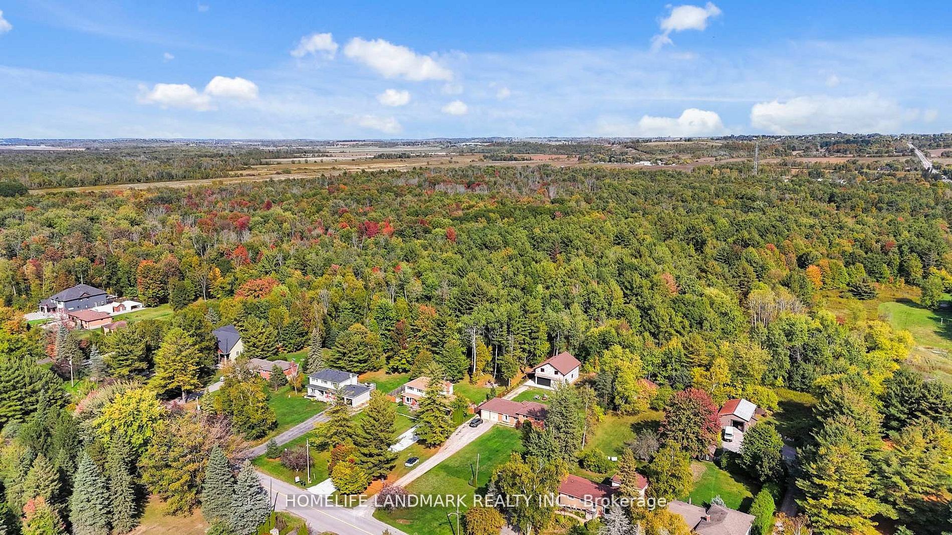 20573 Yonge Street, East Gwillimbury, ON L3Y 4V8 photo 2