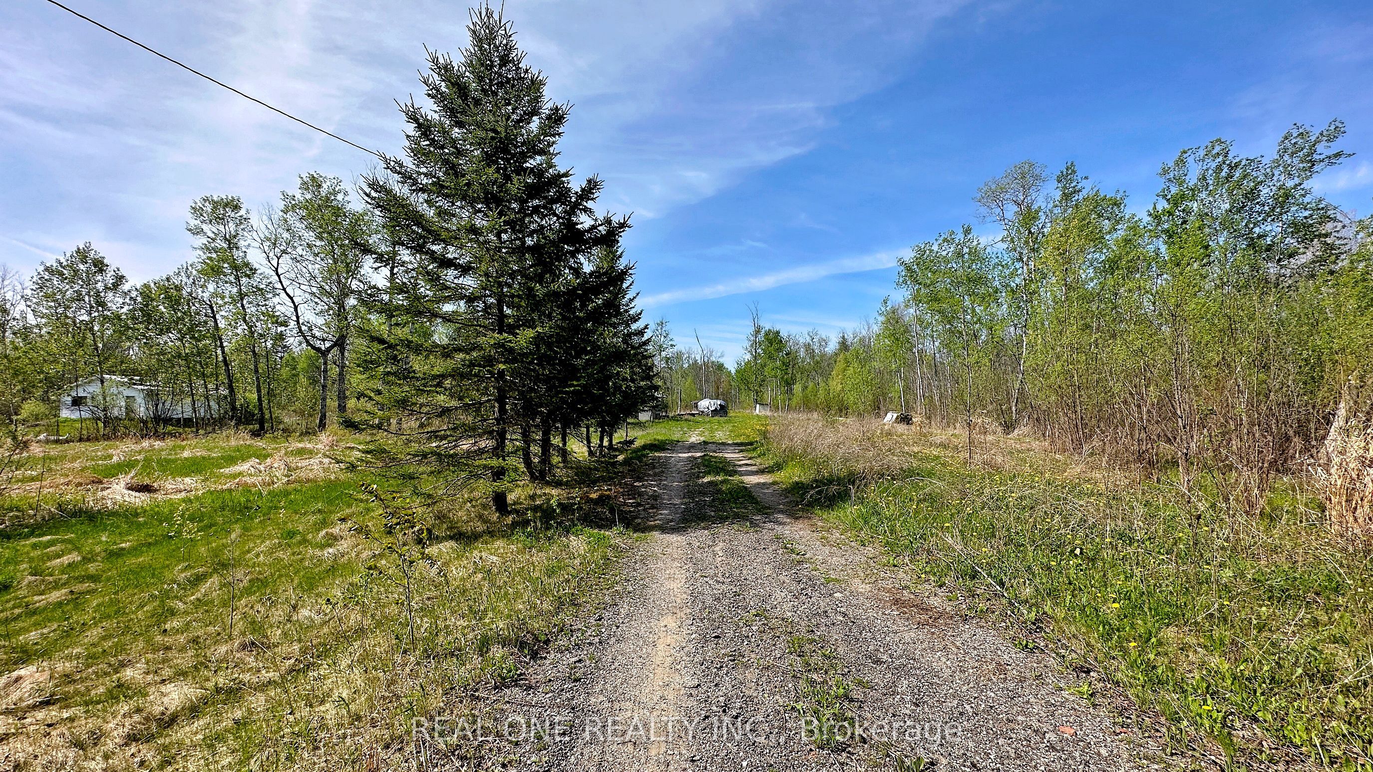 4778 Holborn Road, East Gwillimbury, ON L0G 1N0 photo 2