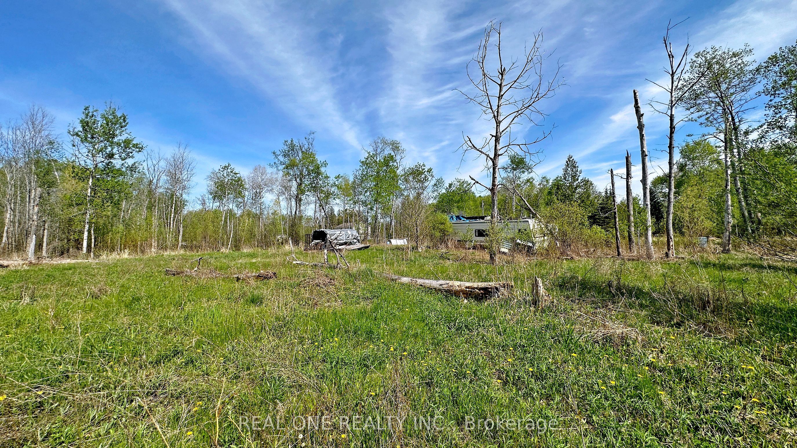 4778 Holborn Road, East Gwillimbury, ON L0G 1N0 photo 3