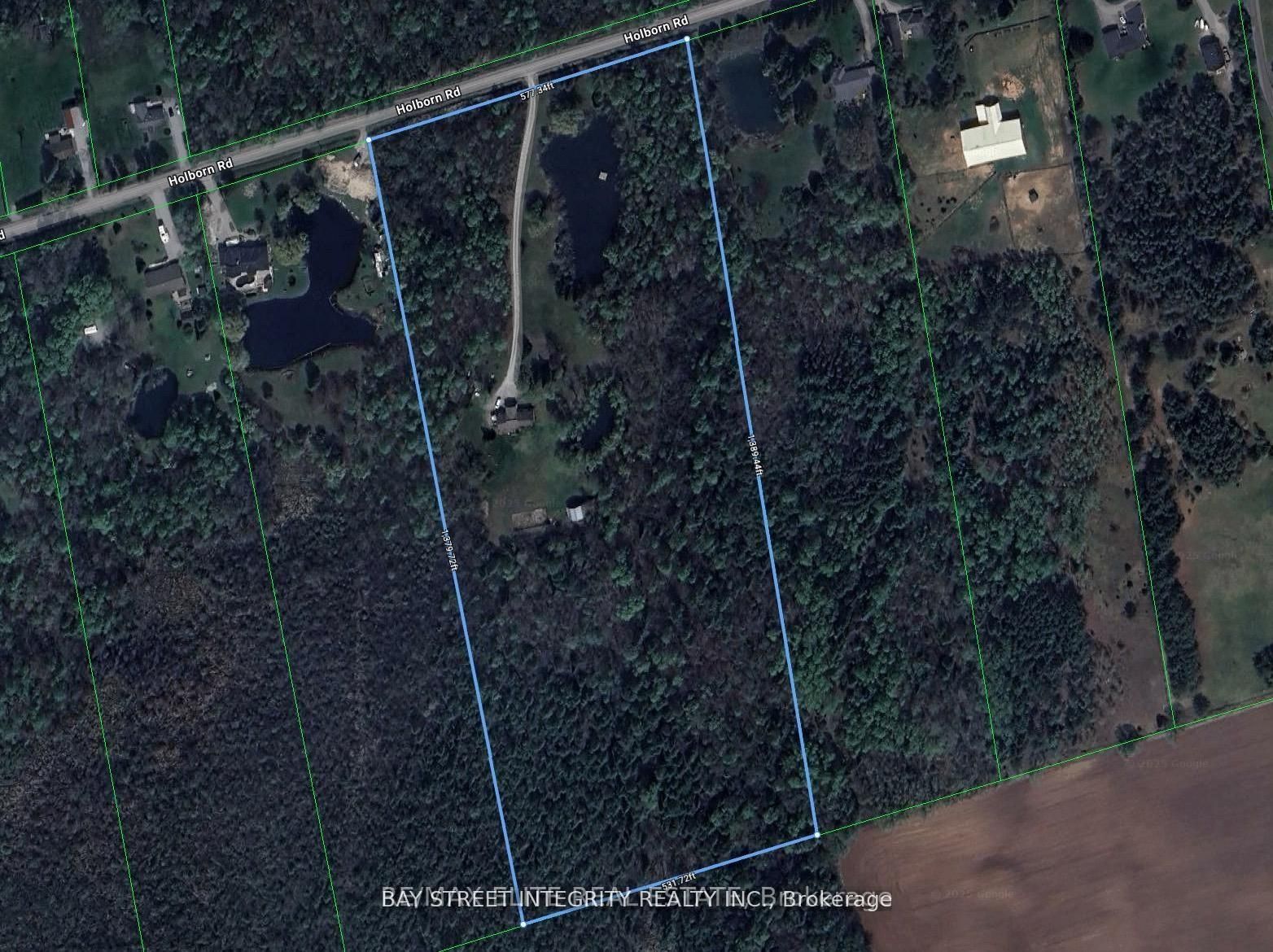 4909 Holborn Road, East Gwillimbury, ON L0G 1M0 photo 5