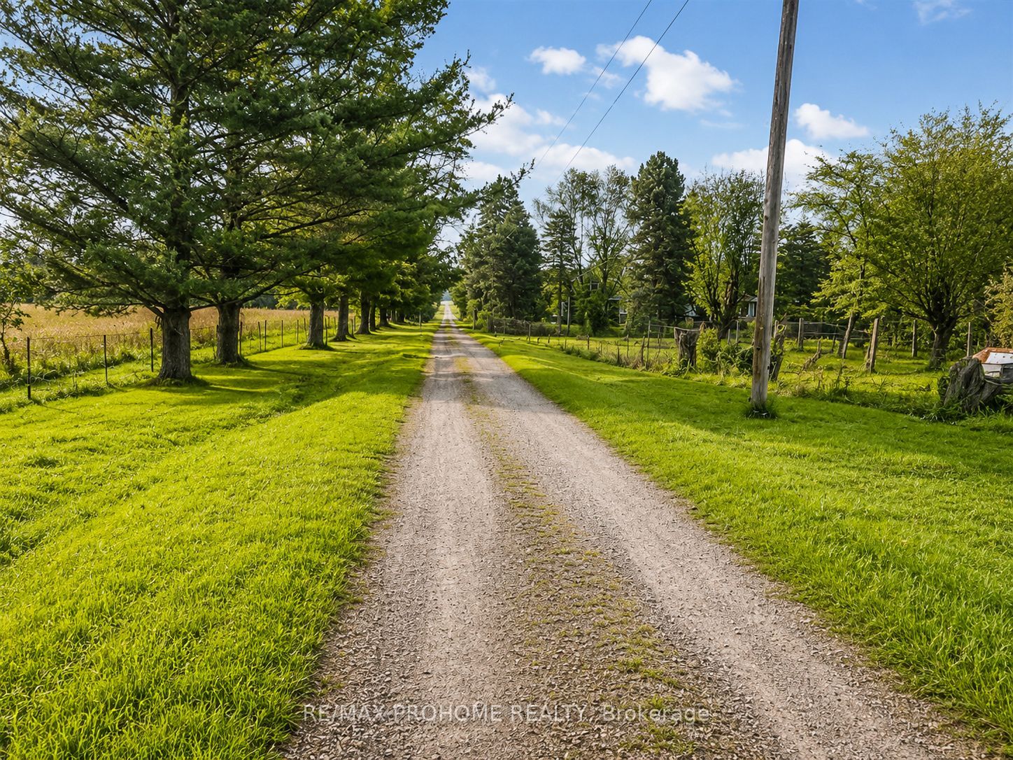 3869 7th Line, Innisfil, ON L9S 3M4 photo 4