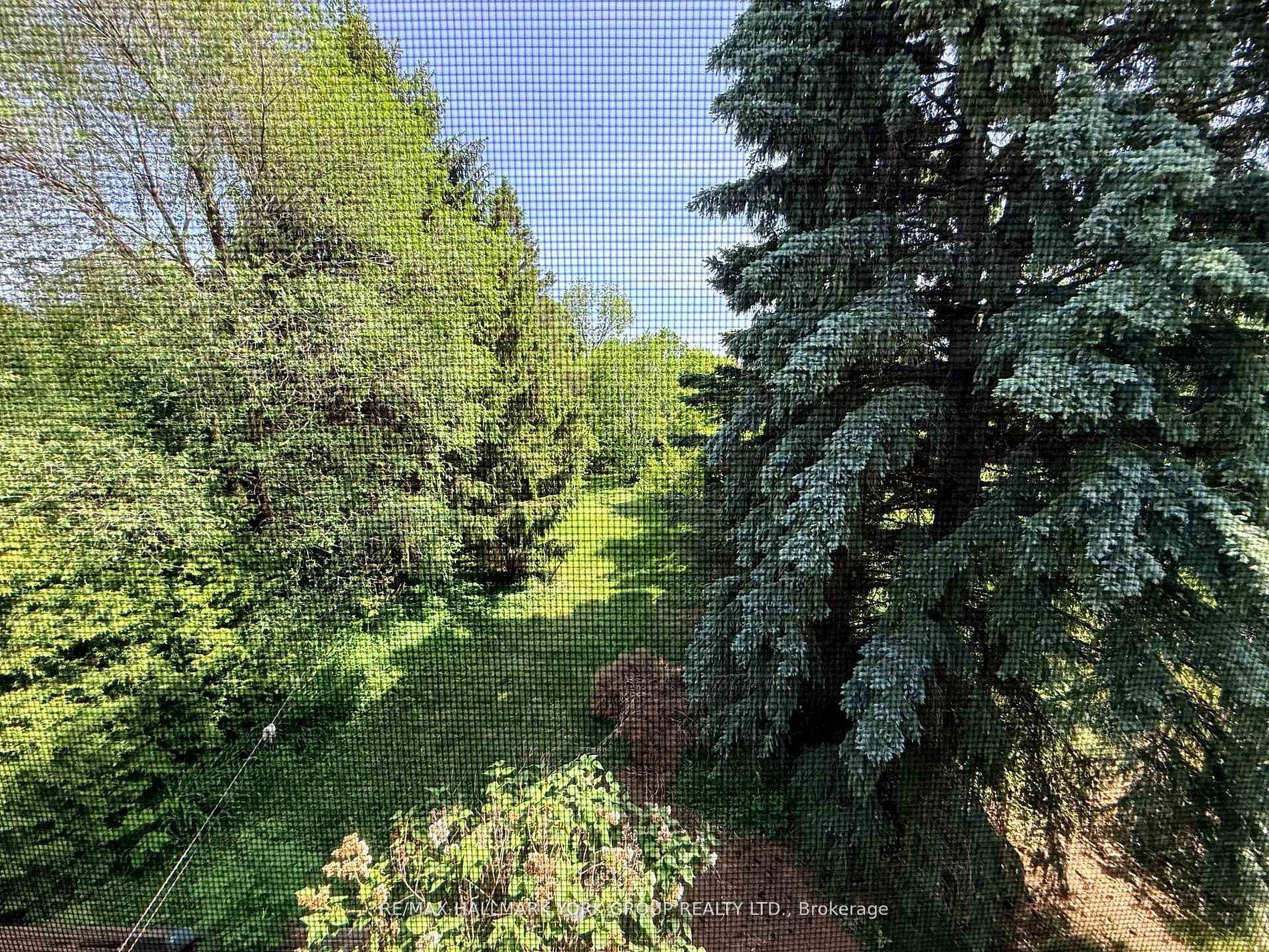 75 Spruce Avenue, Richmond Hill, ON L4C 6V9 photo 3