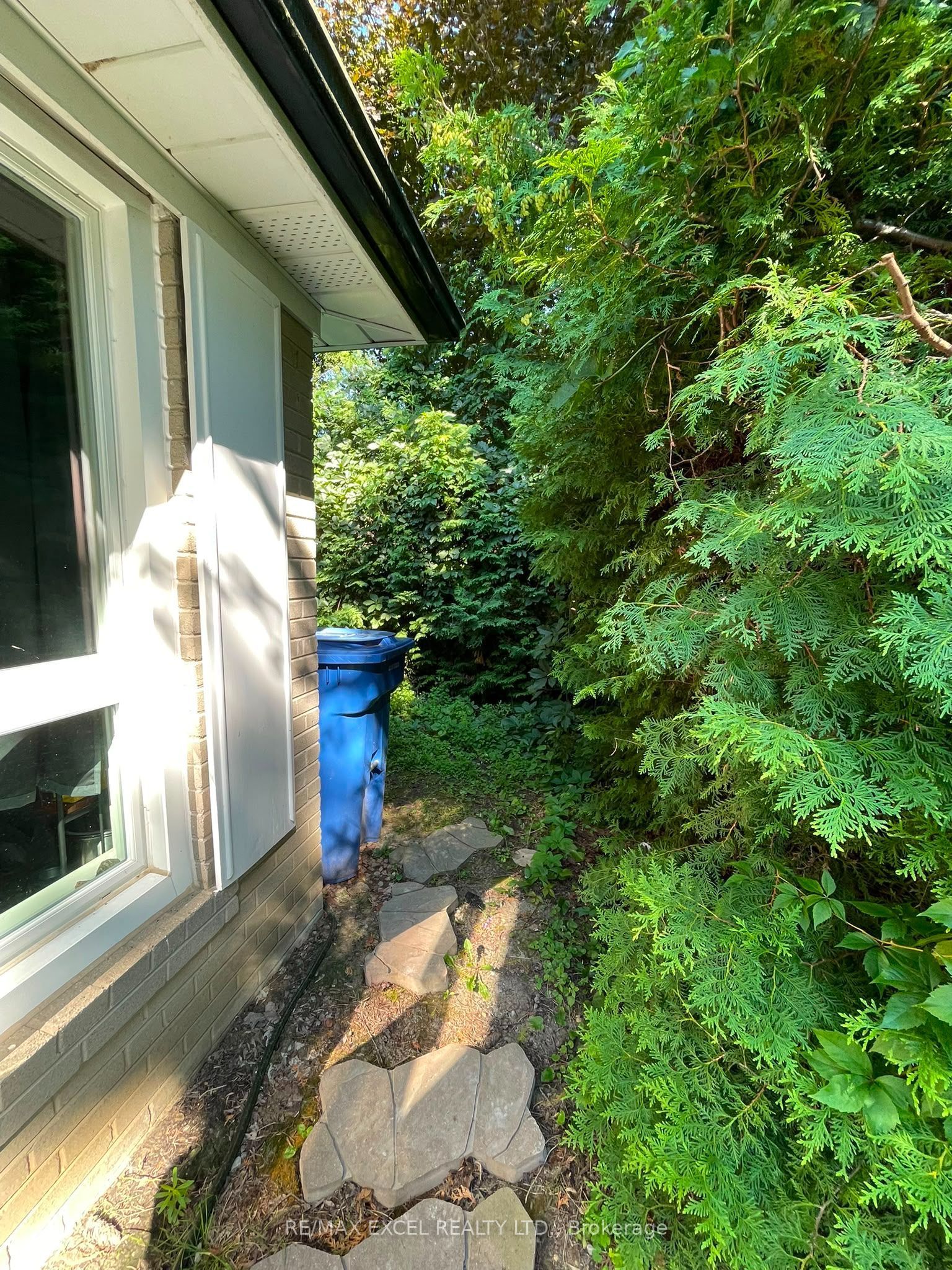 23 Algonquin Crescent Basement, Aurora, ON L4G 3E6 photo 3