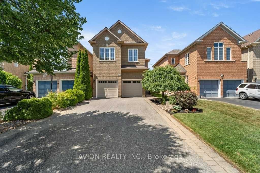 56 Golden Oak Avenue bsmt, Richmond Hill, ON L4S 1Y5