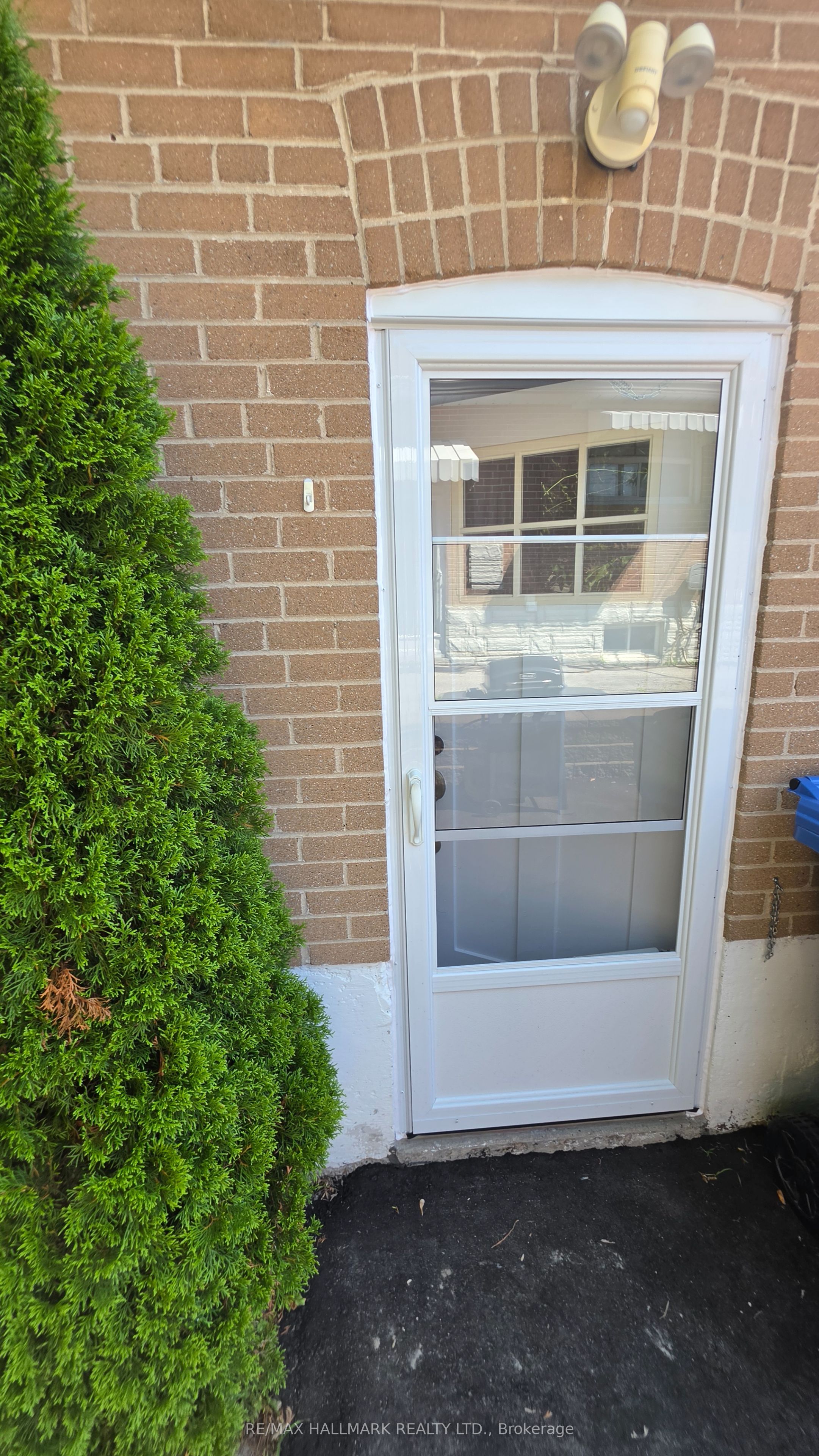 187 Septonne Avenue Lower Level, Newmarket, ON L3Y 2W5 photo 2