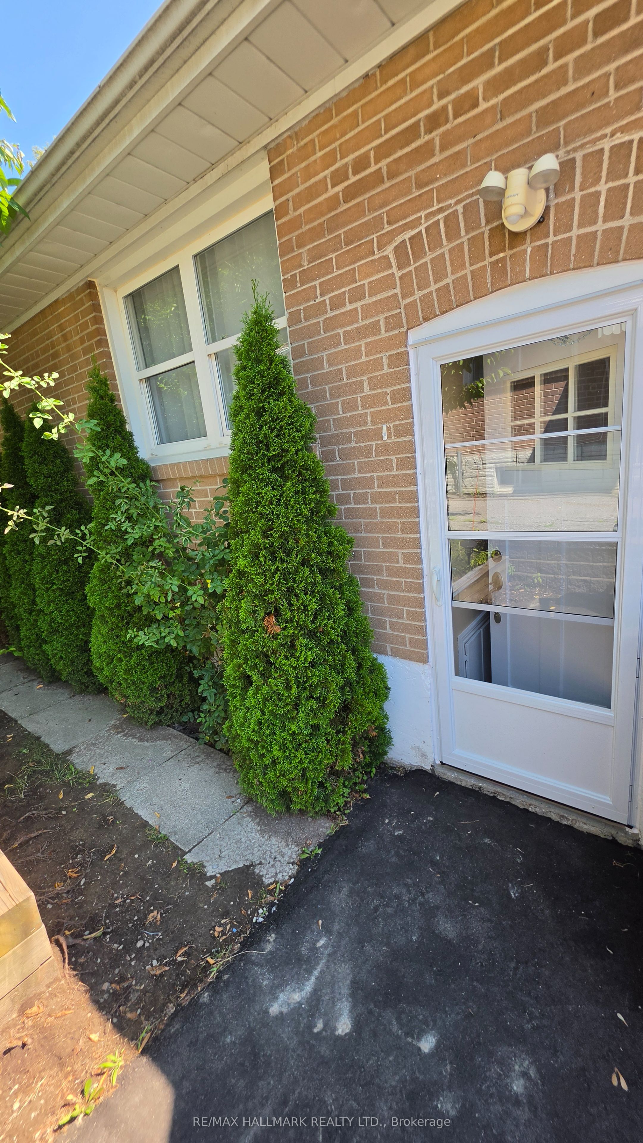 187 Septonne Avenue Lower Level, Newmarket, ON L3Y 2W5 photo 3