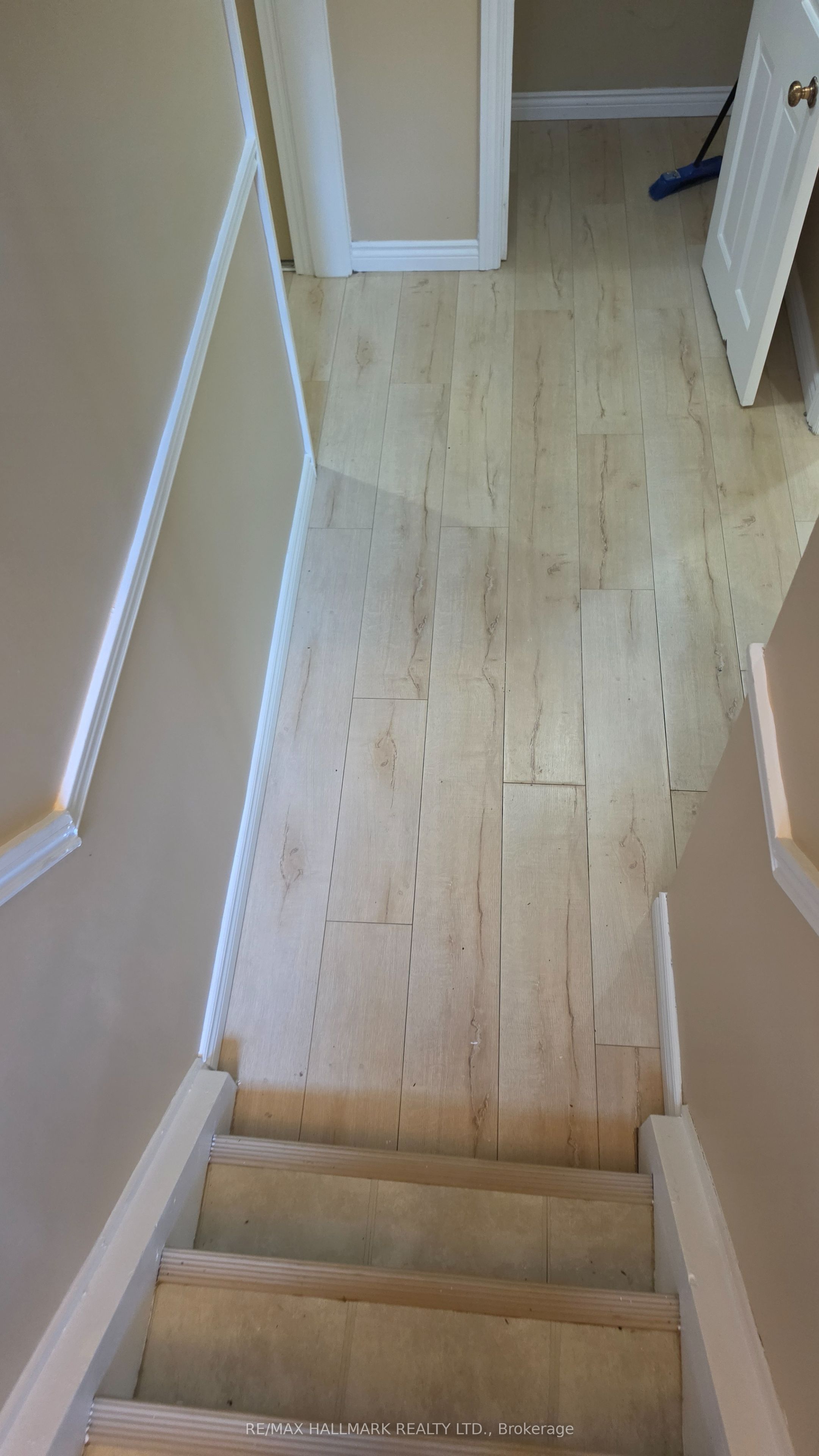 187 Septonne Avenue Lower Level, Newmarket, ON L3Y 2W5 photo 5