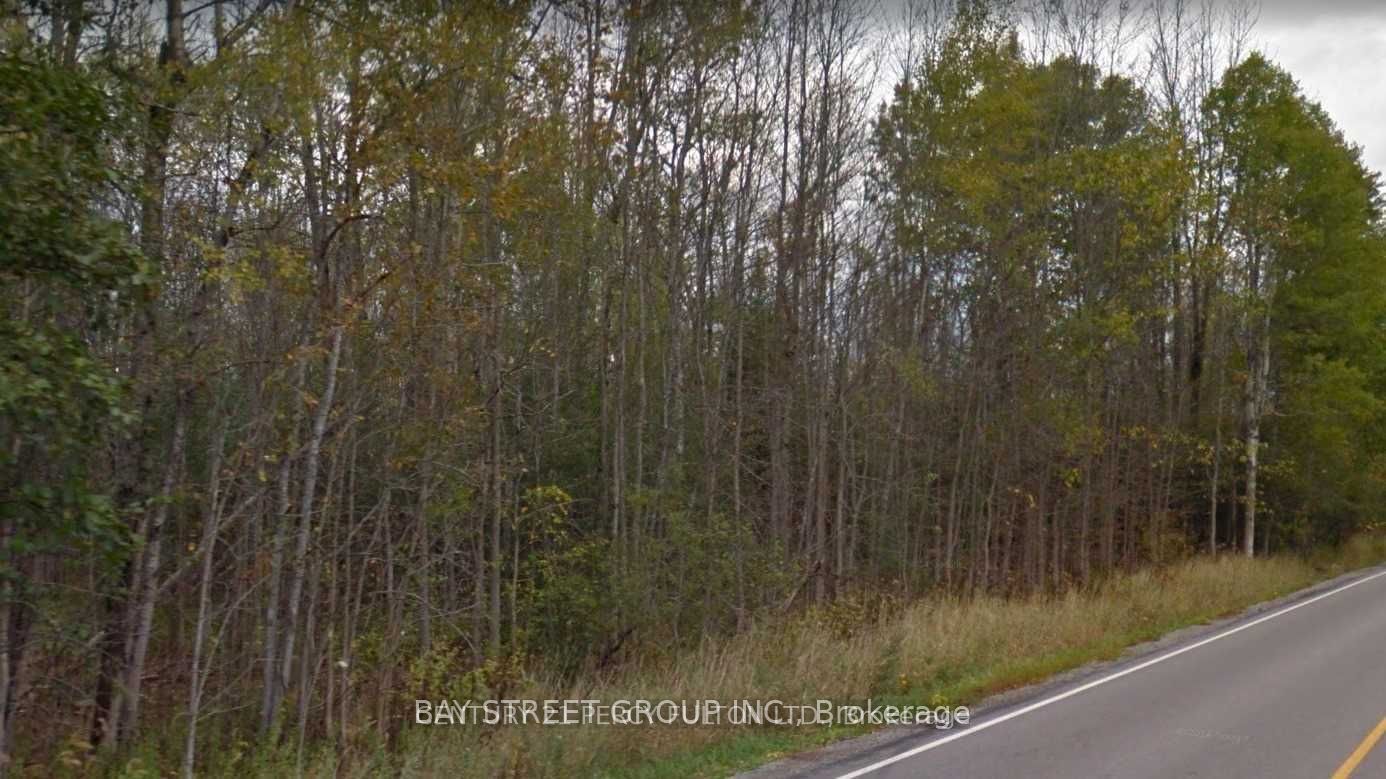 Lot 18 Weir's Side Road, Georgina, ON L0E 1N0 photo 4