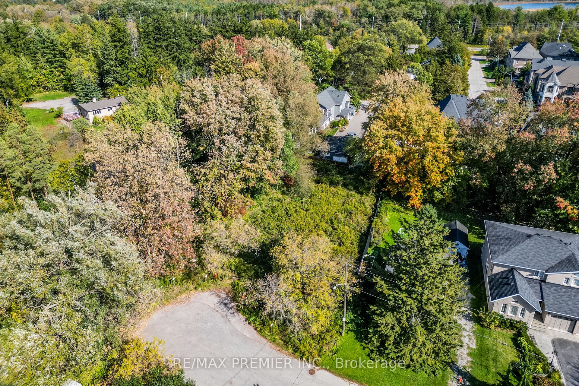 0 Fergus Avenue, Richmond Hill, ON L4E 3C2 photo 3