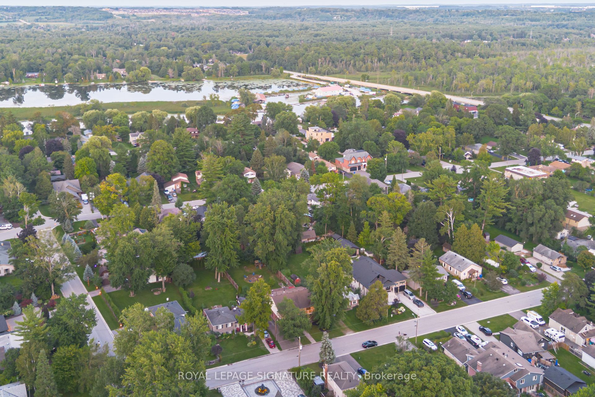 45 Pleasant Avenue, East Gwillimbury, ON L9N 1A2 photo 4