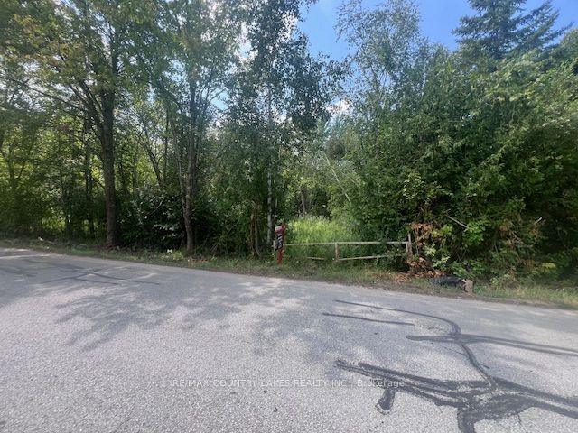 122-123 RIVERVIEW BEACH Road, Georgina, ON L0E 1N0 photo 5