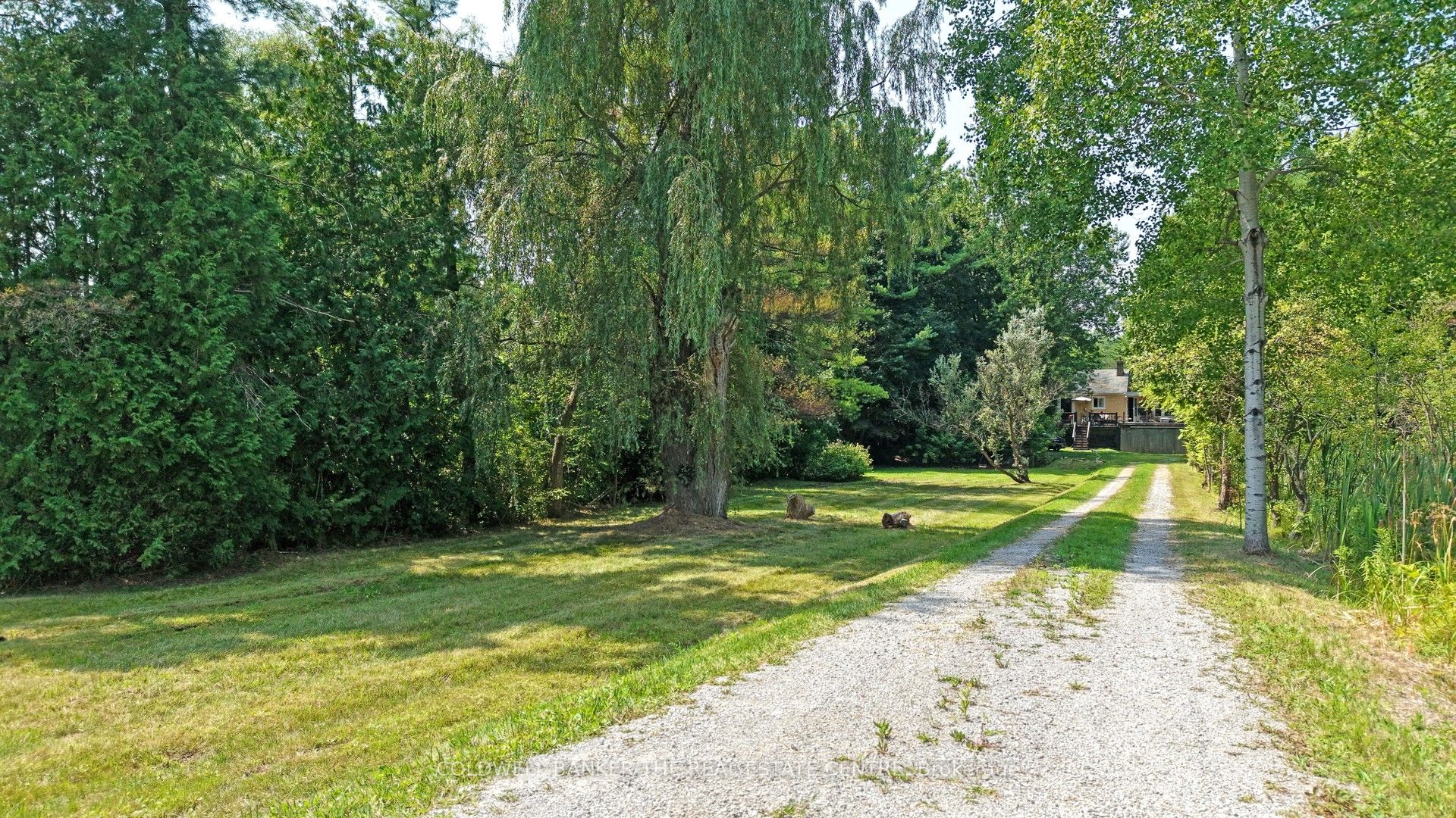 15600 Weston Road, King, ON L7B 0L1 photo 2