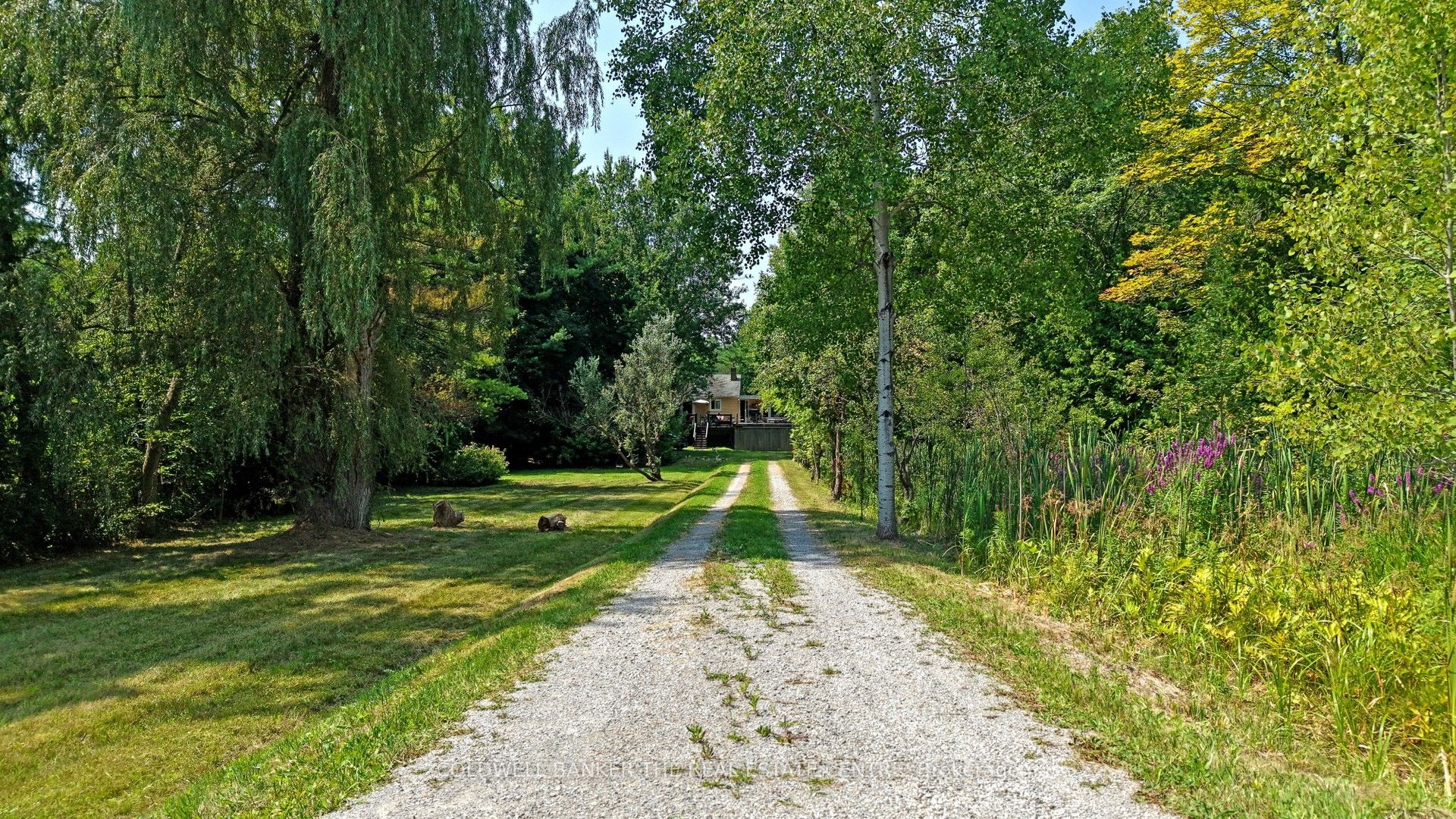 15600 Weston Road, King, ON L7B 0L1 photo 3