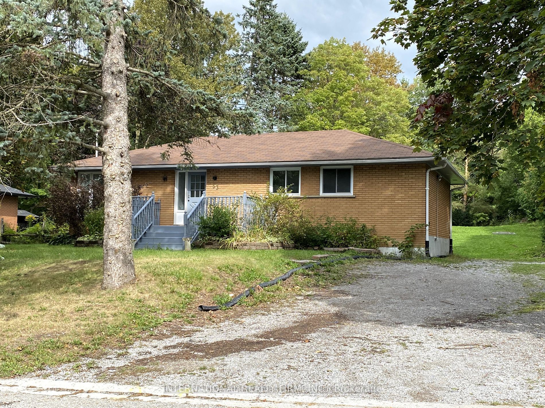 53 Belfry Drive Bsmt, Newmarket, ON L3Y 3E9