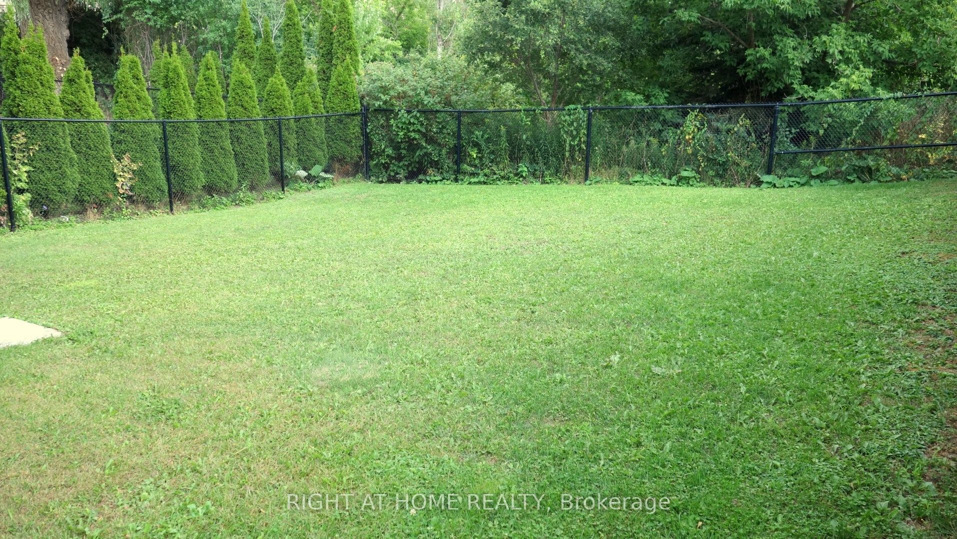 17 Bond Crescent, Richmond Hill, ON L4E 3K2 photo 3