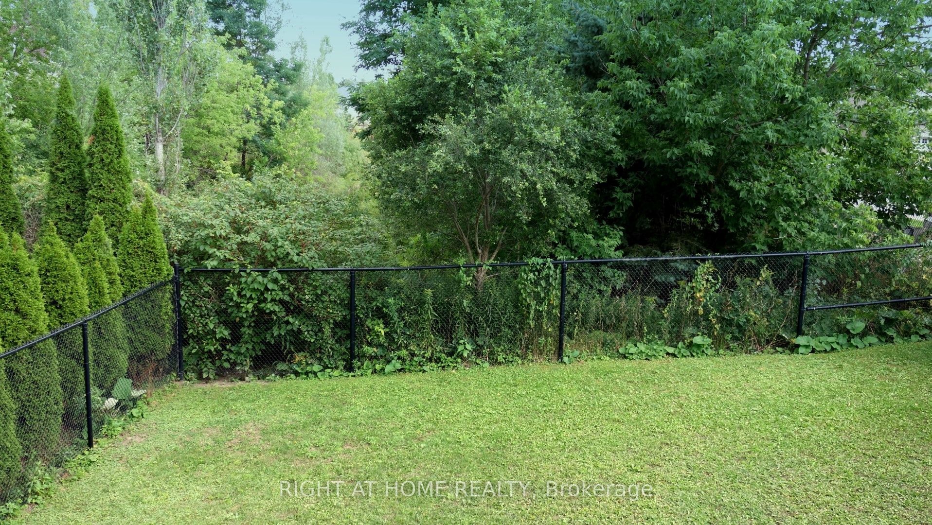 17 Bond Crescent, Richmond Hill, ON L4E 3K2 photo 4
