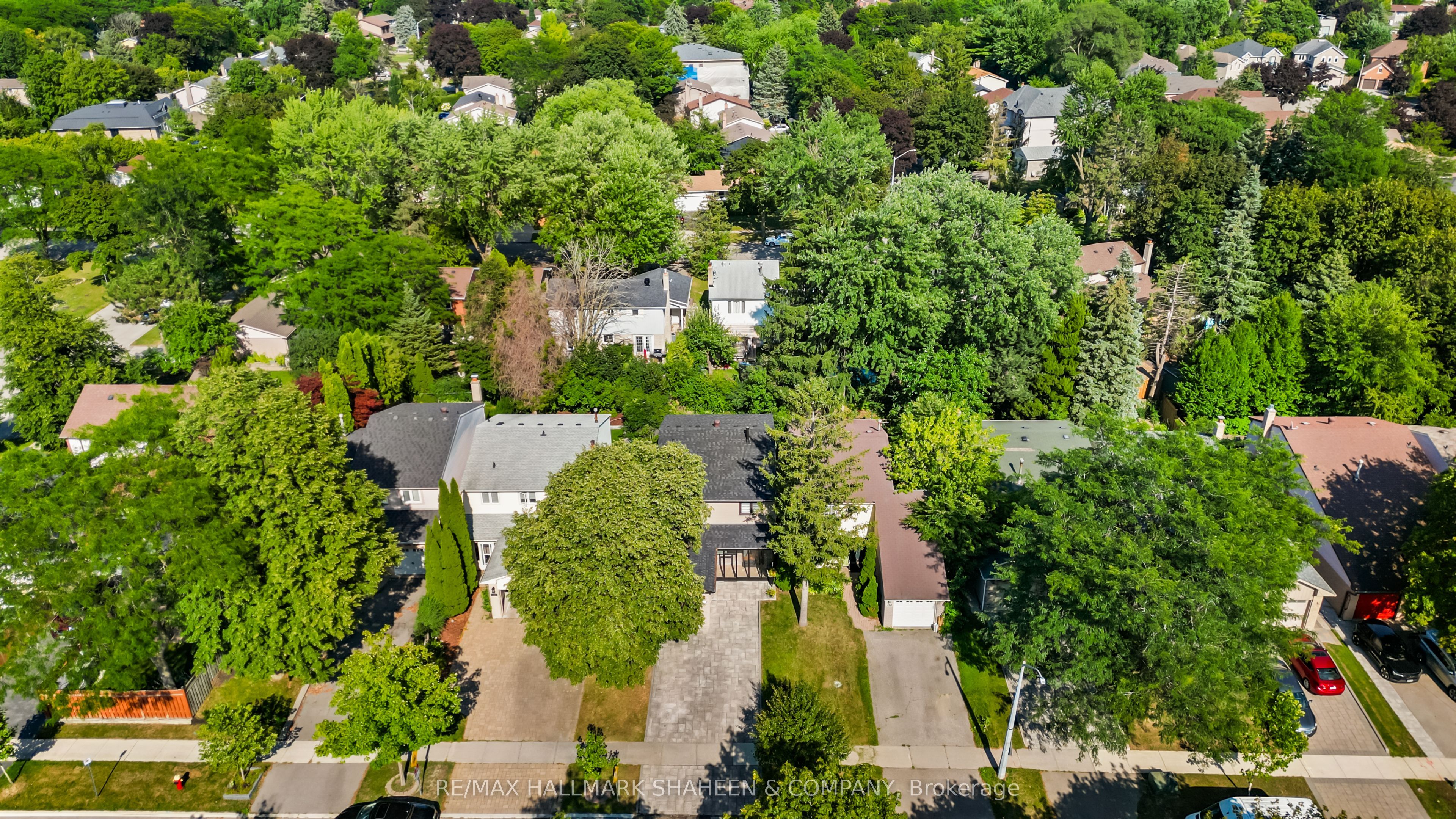 184 Castle Rock Drive, Richmond Hill, ON L4C 5H6 photo 5