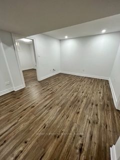 300 Woodspring Avenue BSMT, Newmarket, ON L3X 3B1 photo 3