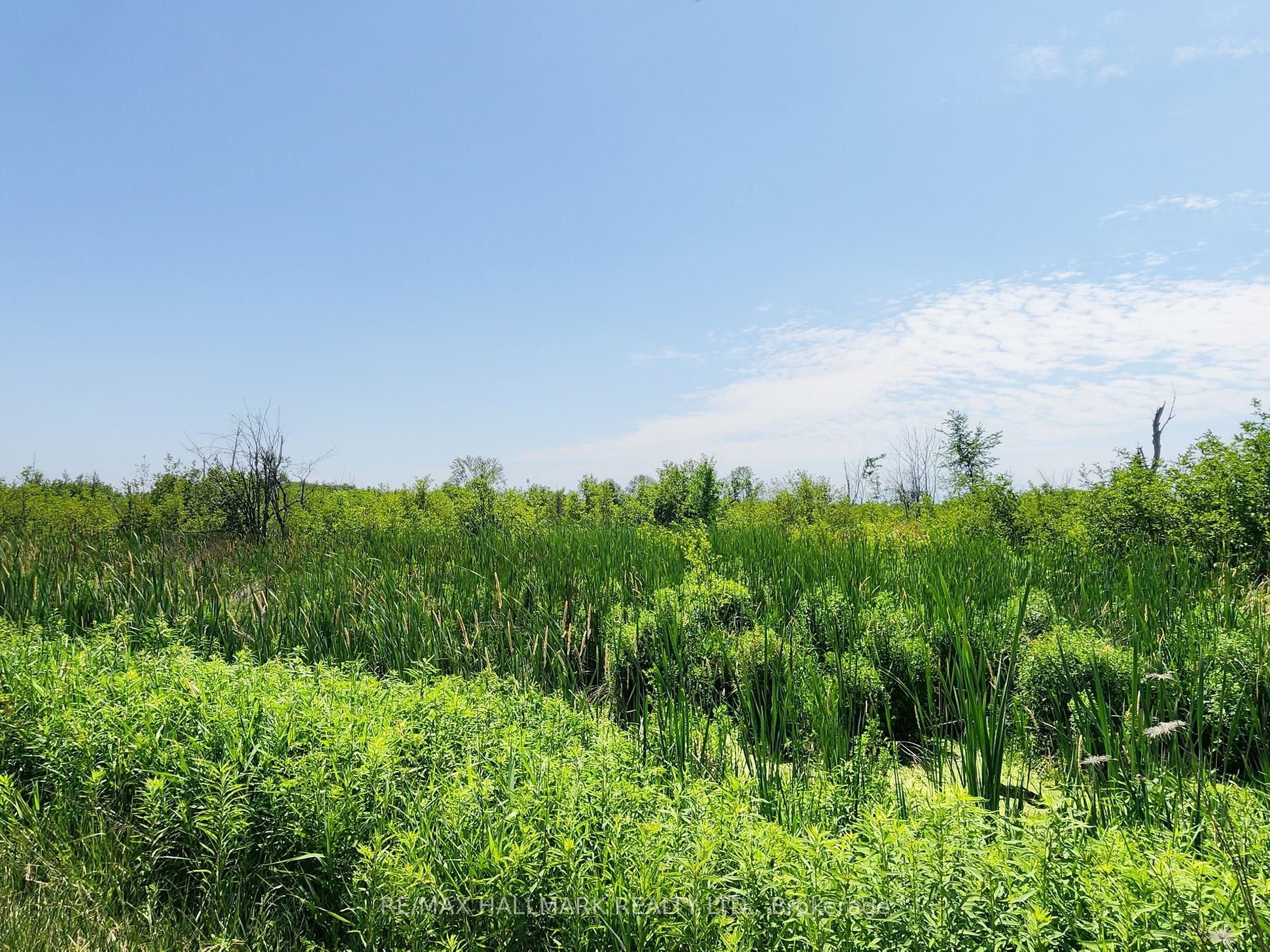 20200 Highway 48, East Gwillimbury, ON L0G 1M0