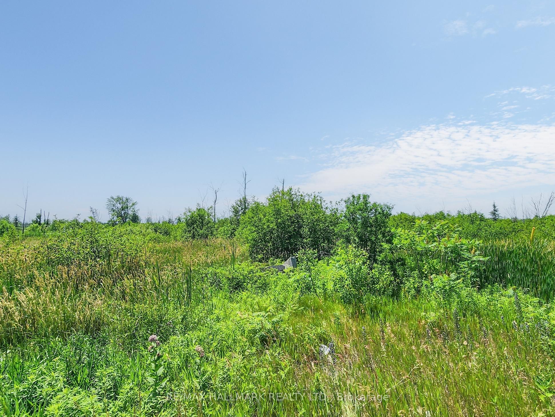 20200 Highway 48, East Gwillimbury, ON L0G 1M0 photo 2