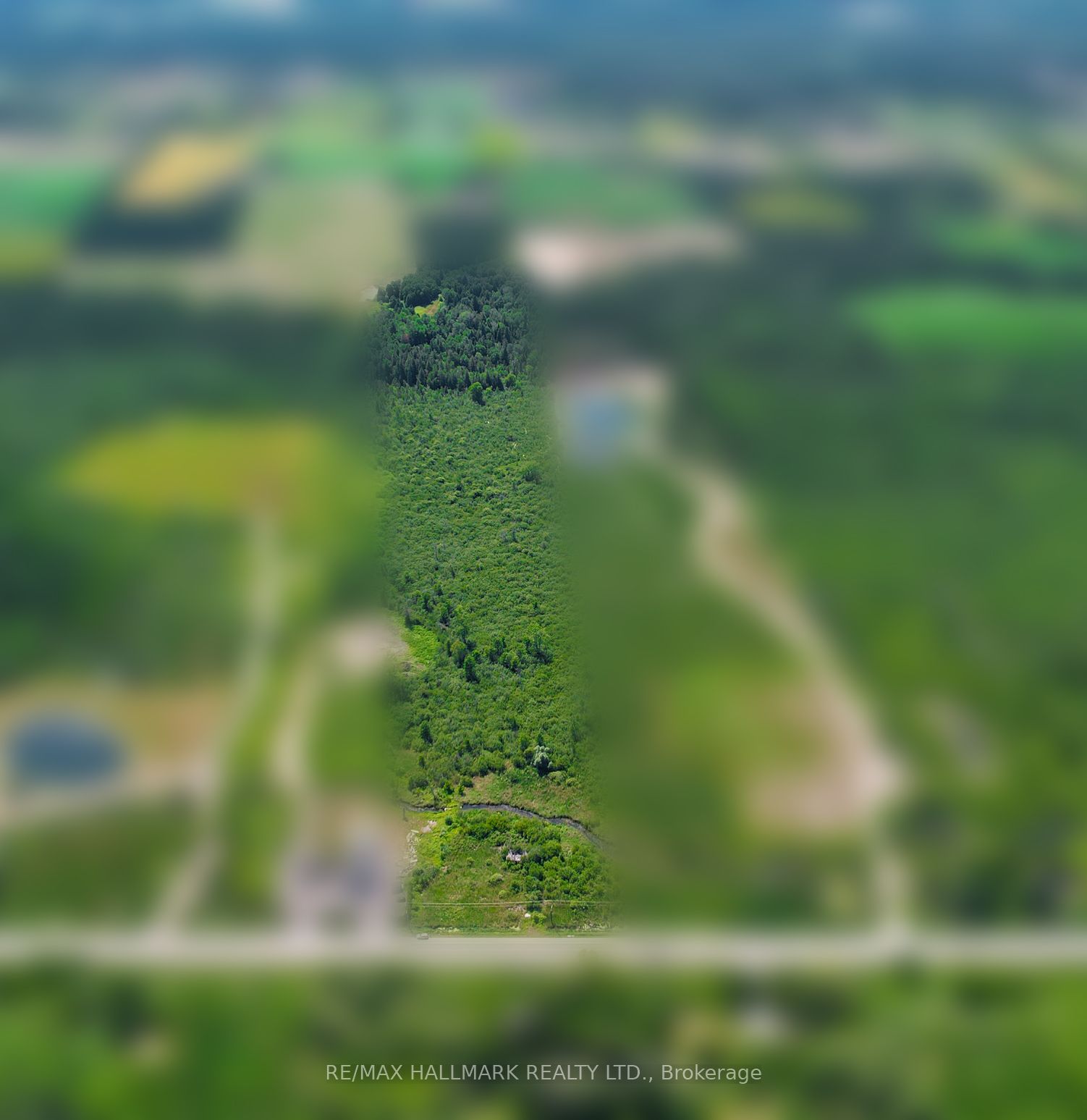 20200 Highway 48, East Gwillimbury, ON L0G 1M0 photo 3