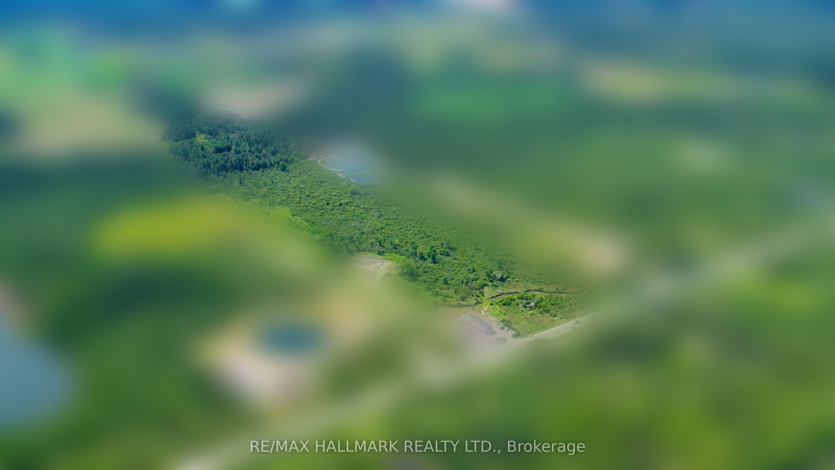 20200 Highway 48, East Gwillimbury, ON L0G 1M0 photo 5