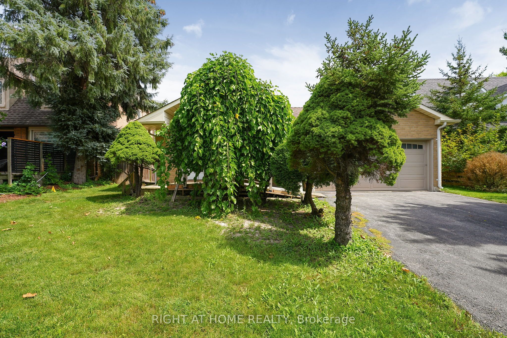 295 Burford Street, Newmarket, ON L3Y 6E7 photo 4