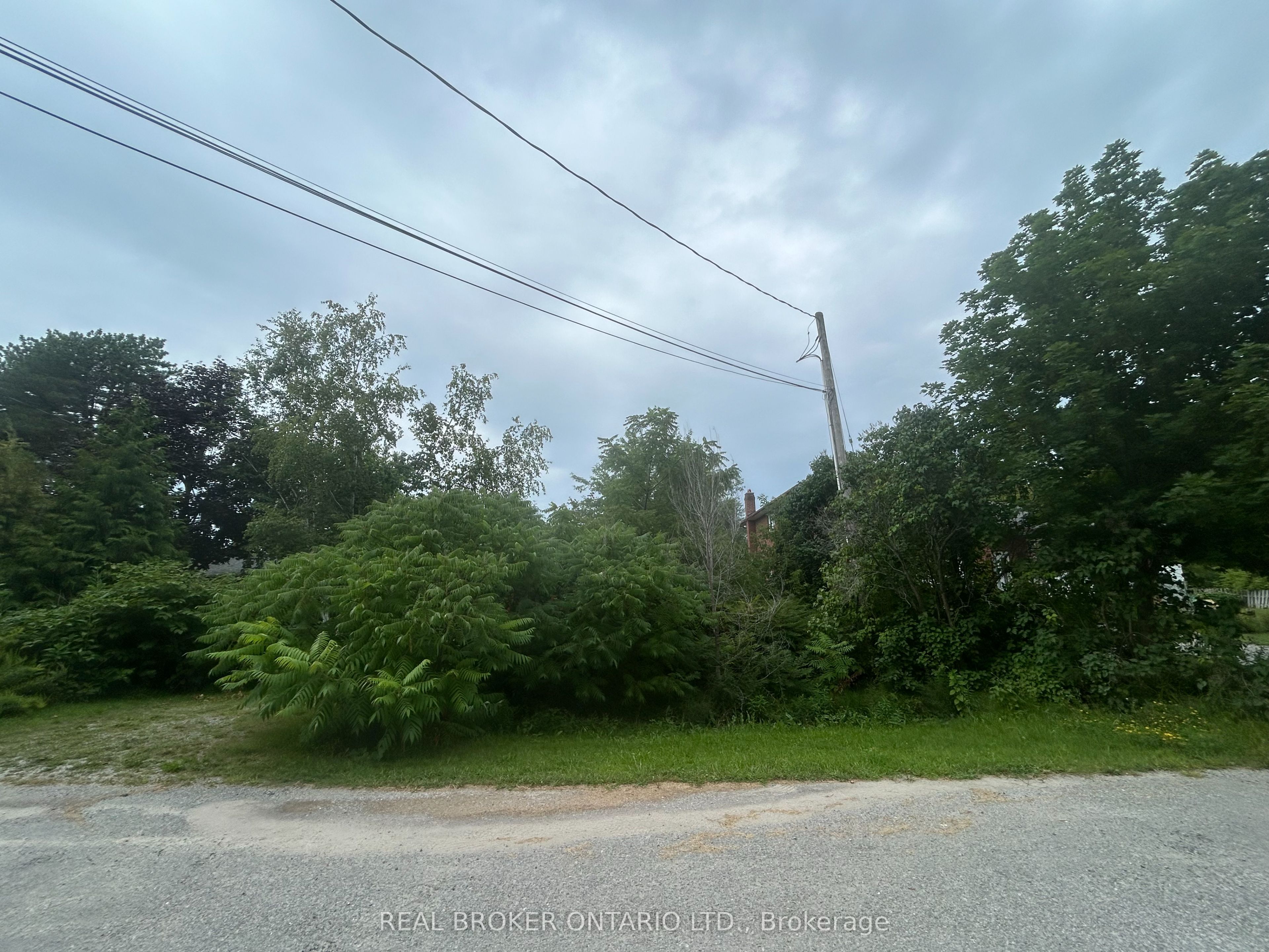 18 Ashwood Avenue, Georgina, ON L0E 1N0 photo 4