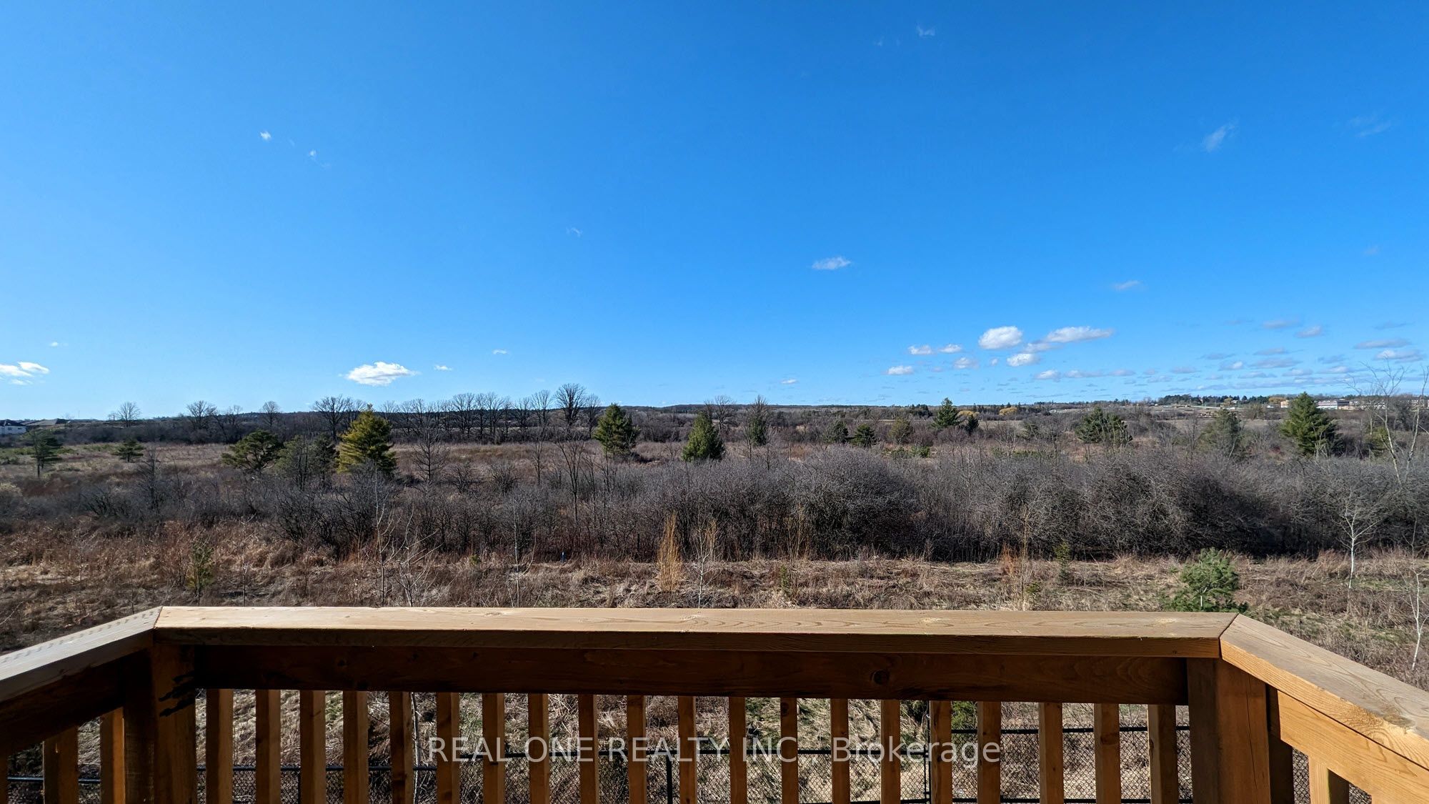 142 Hartney Drive, Richmond Hill, ON L4S 0L1 photo 3