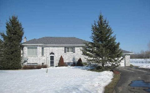 7093 Concession 3 Road, Adjala-Tosorontio, ON L0M 1M0 photo 5