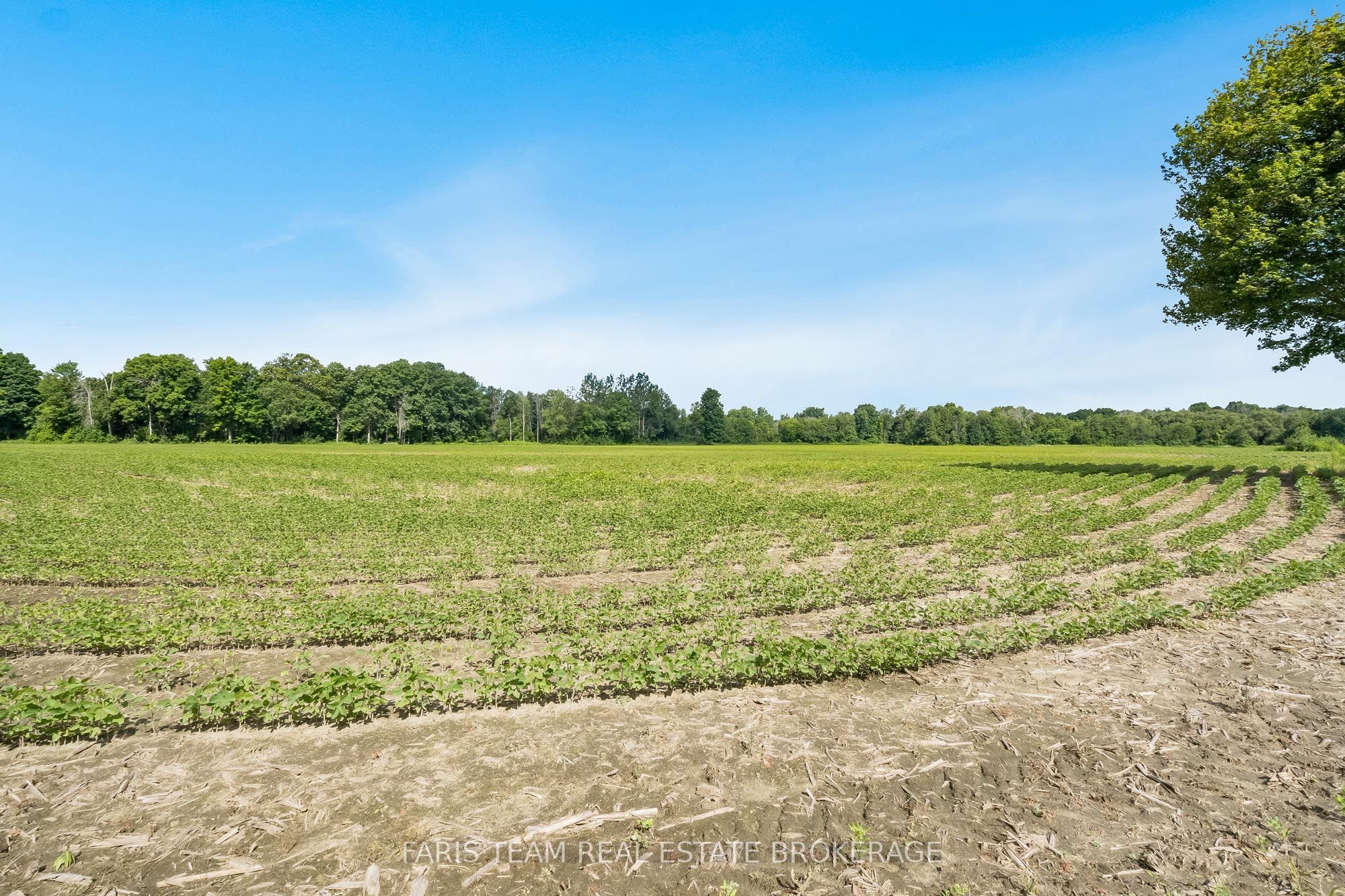 4065 15th Line, Innisfil, ON L0L 1L0 photo 4