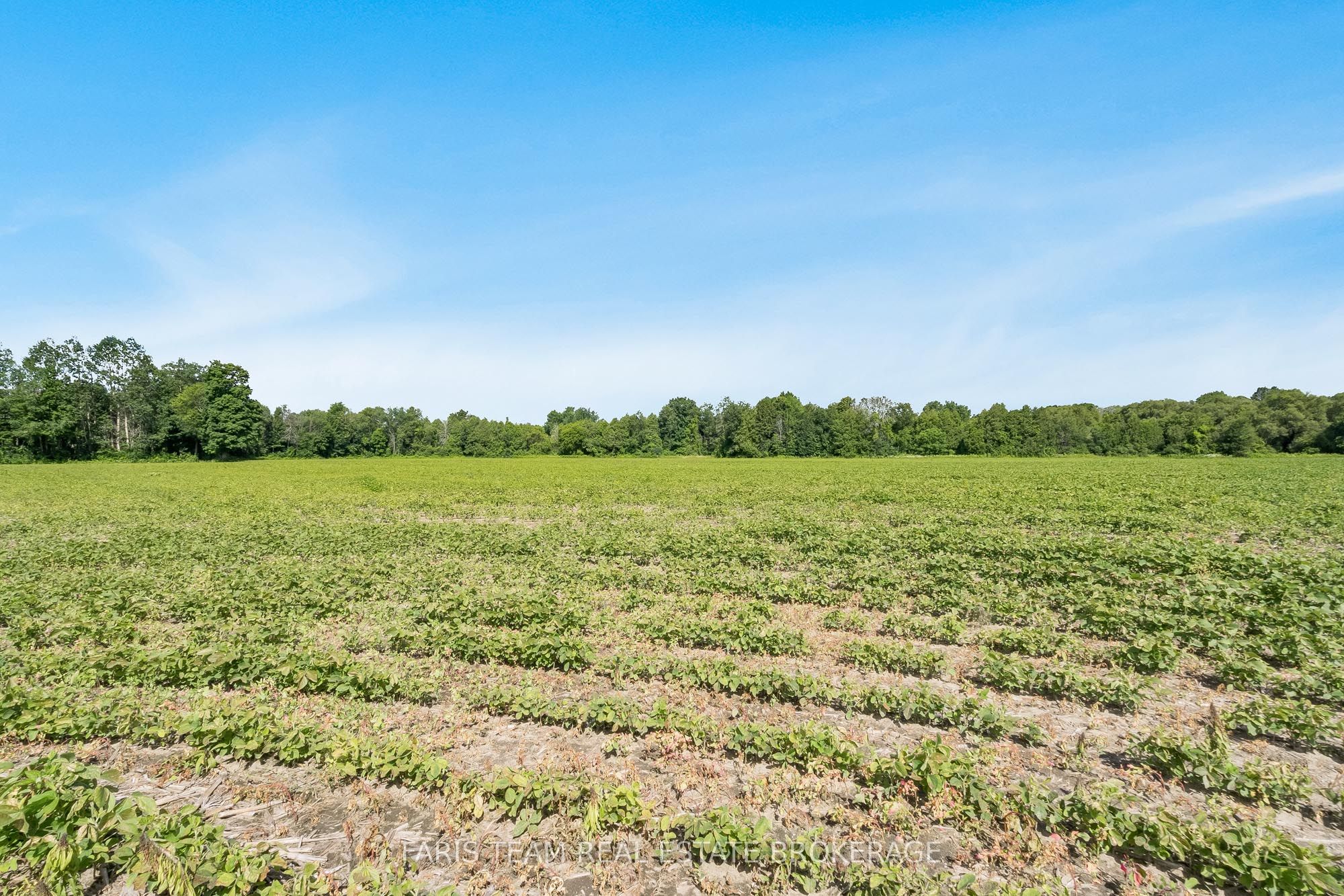 4065 15th Line, Innisfil, ON L0L 1L0 photo 5