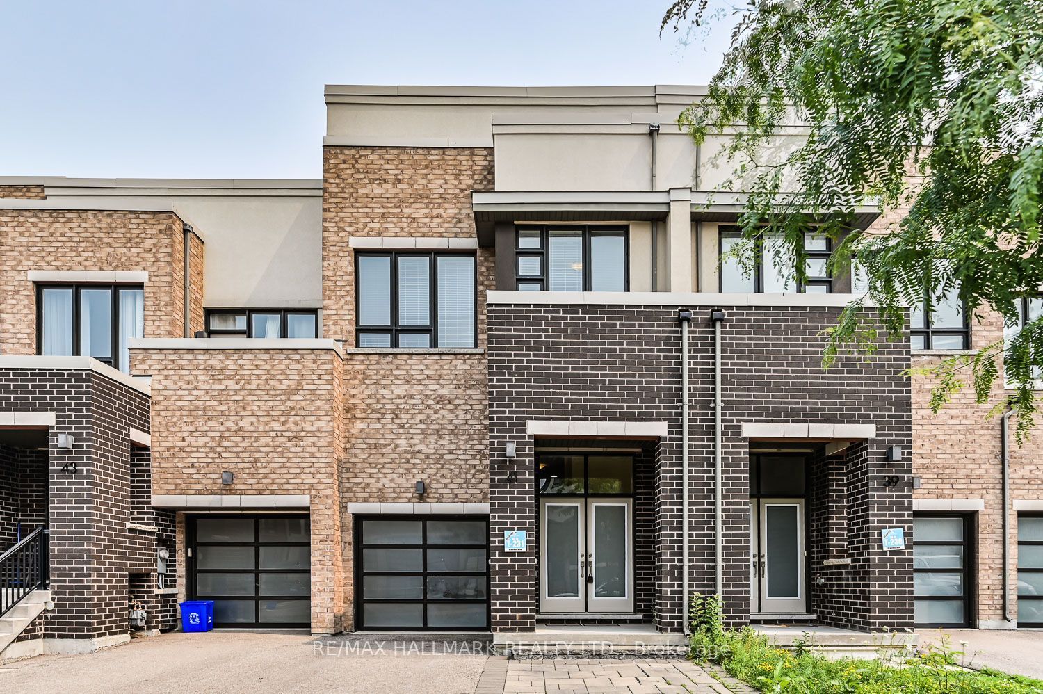 41 Anchusa Drive, Richmond Hill, ON L4E 5B6