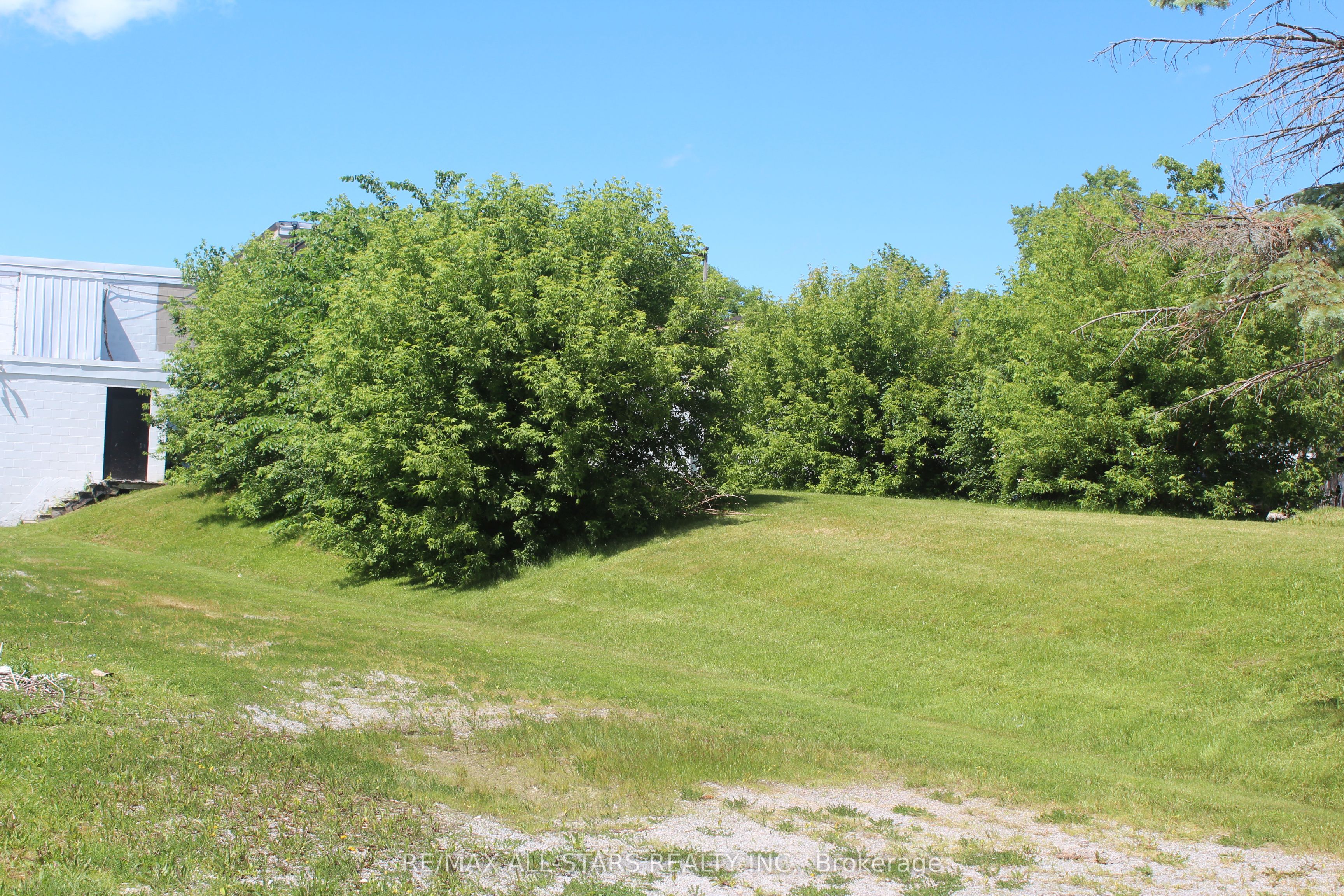 180 Frederick Street, Georgina, ON L4P 2J1 photo 3