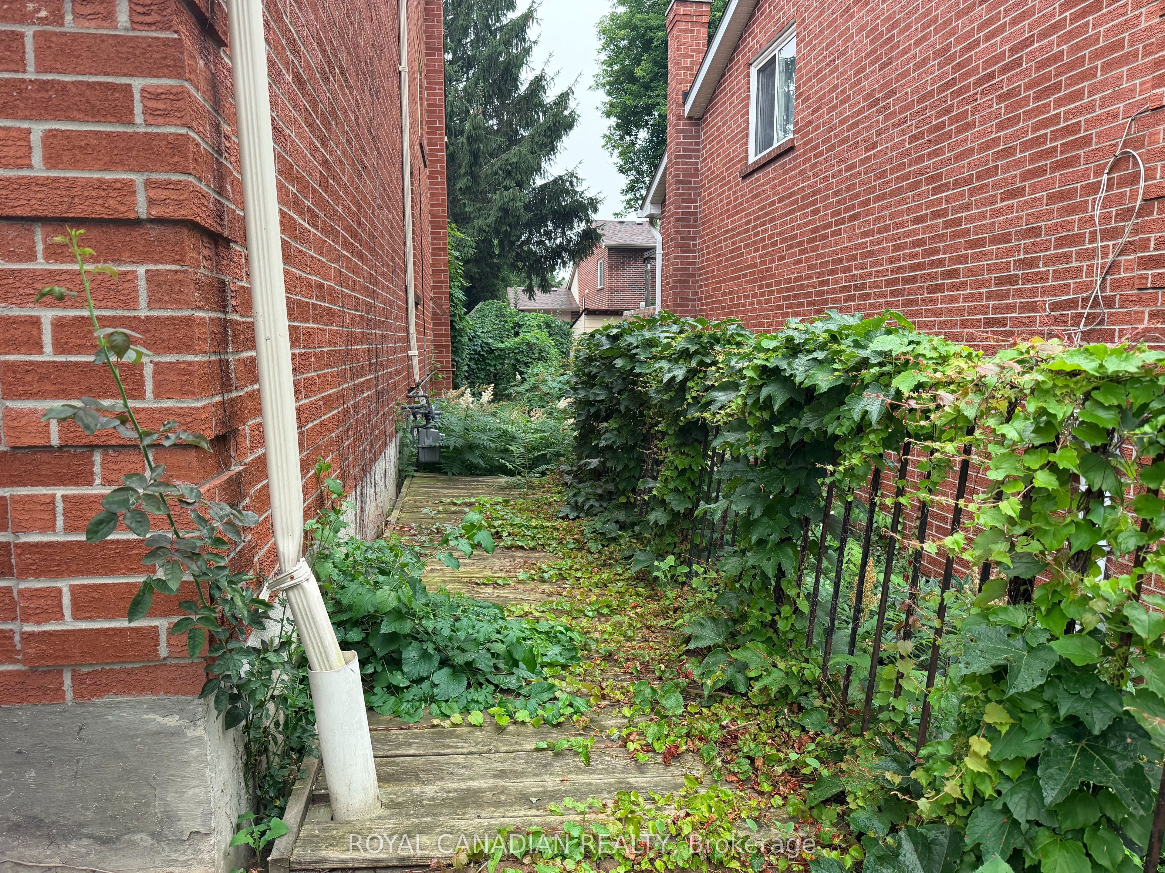 192 Harrison Drive, Newmarket, ON L3Y 6B9 photo 4