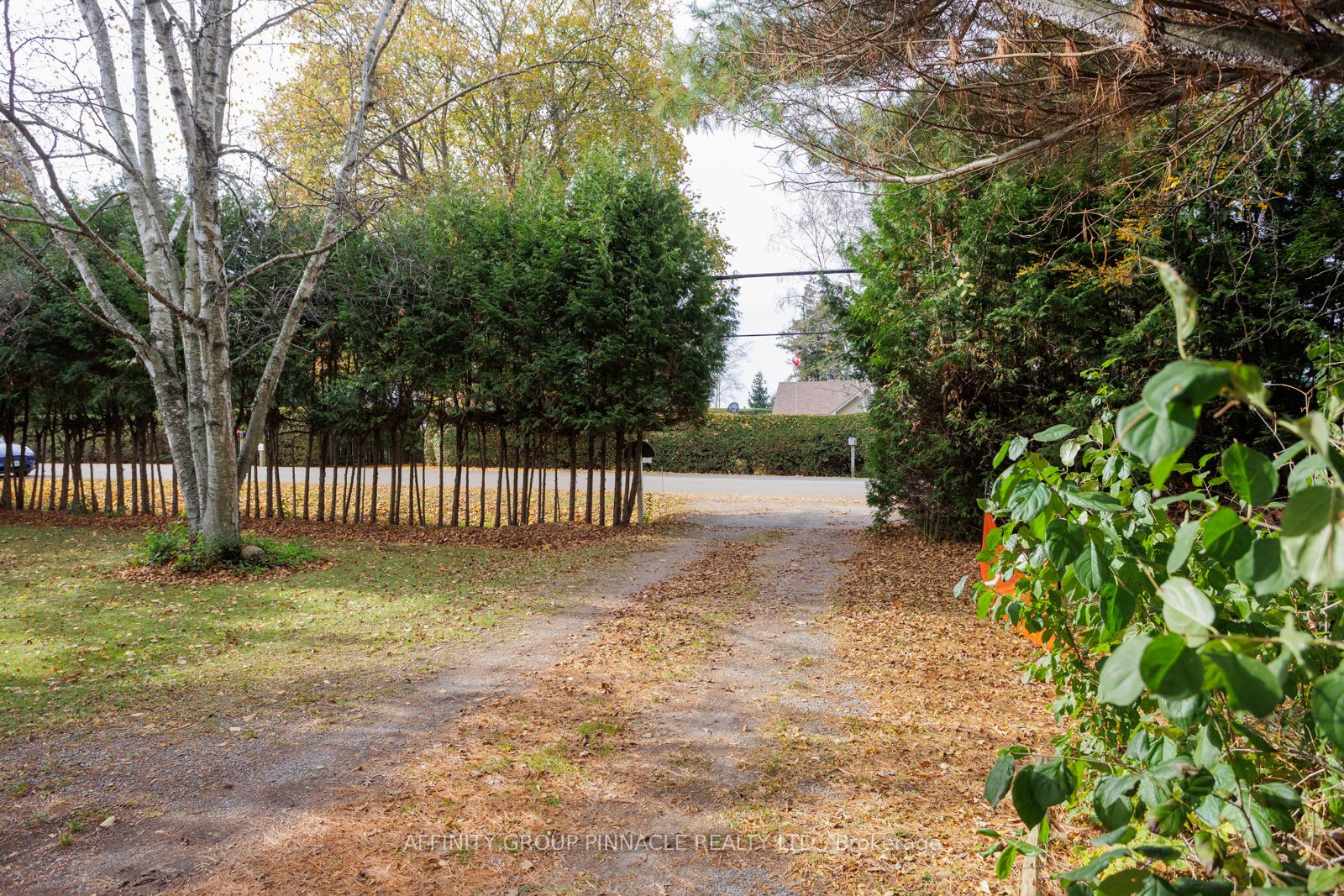 81 Cedar Beach Road, Brock, ON L0K 1A0 photo 4