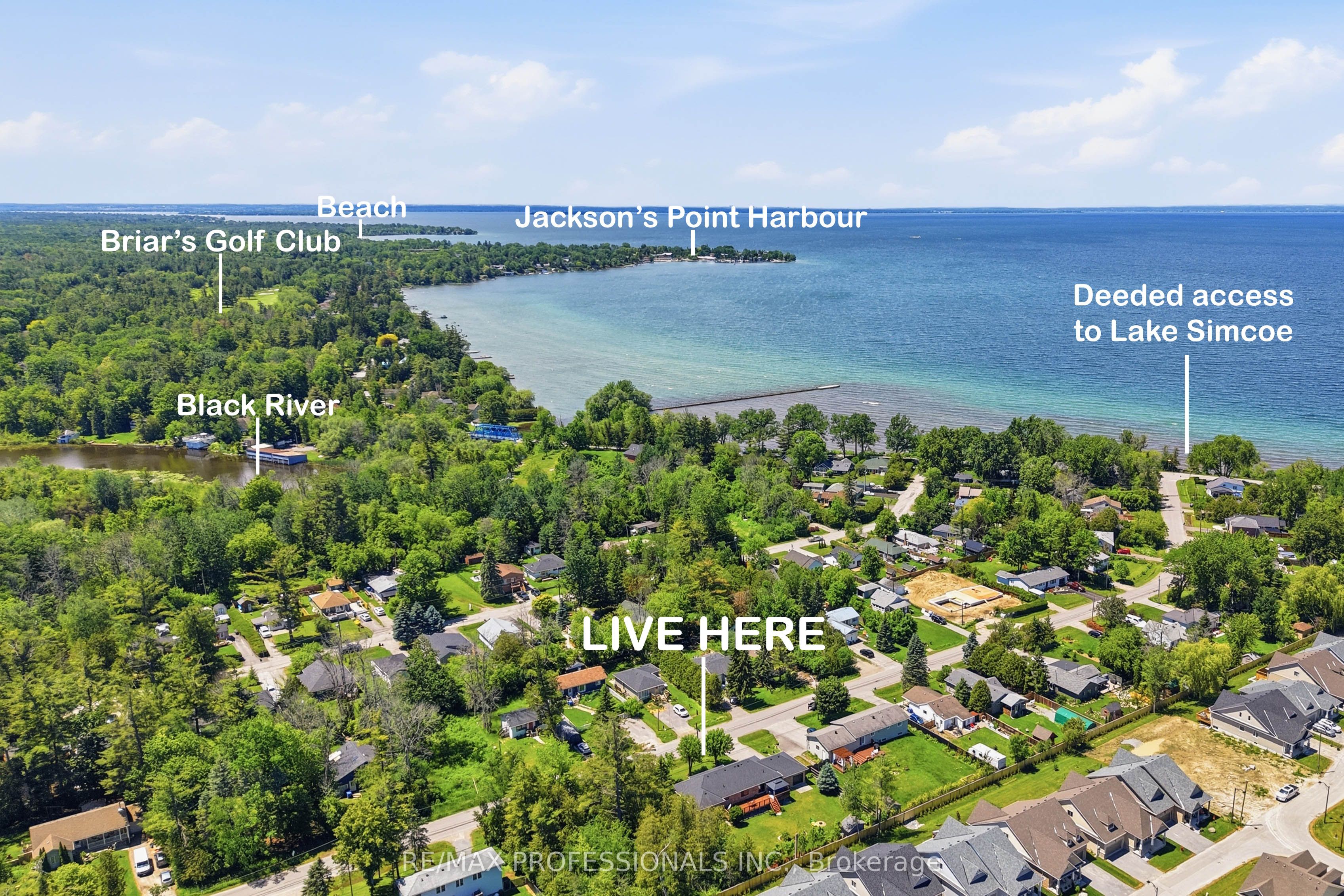 101 Maple Avenue, Georgina, ON L0E 1R0 photo 4