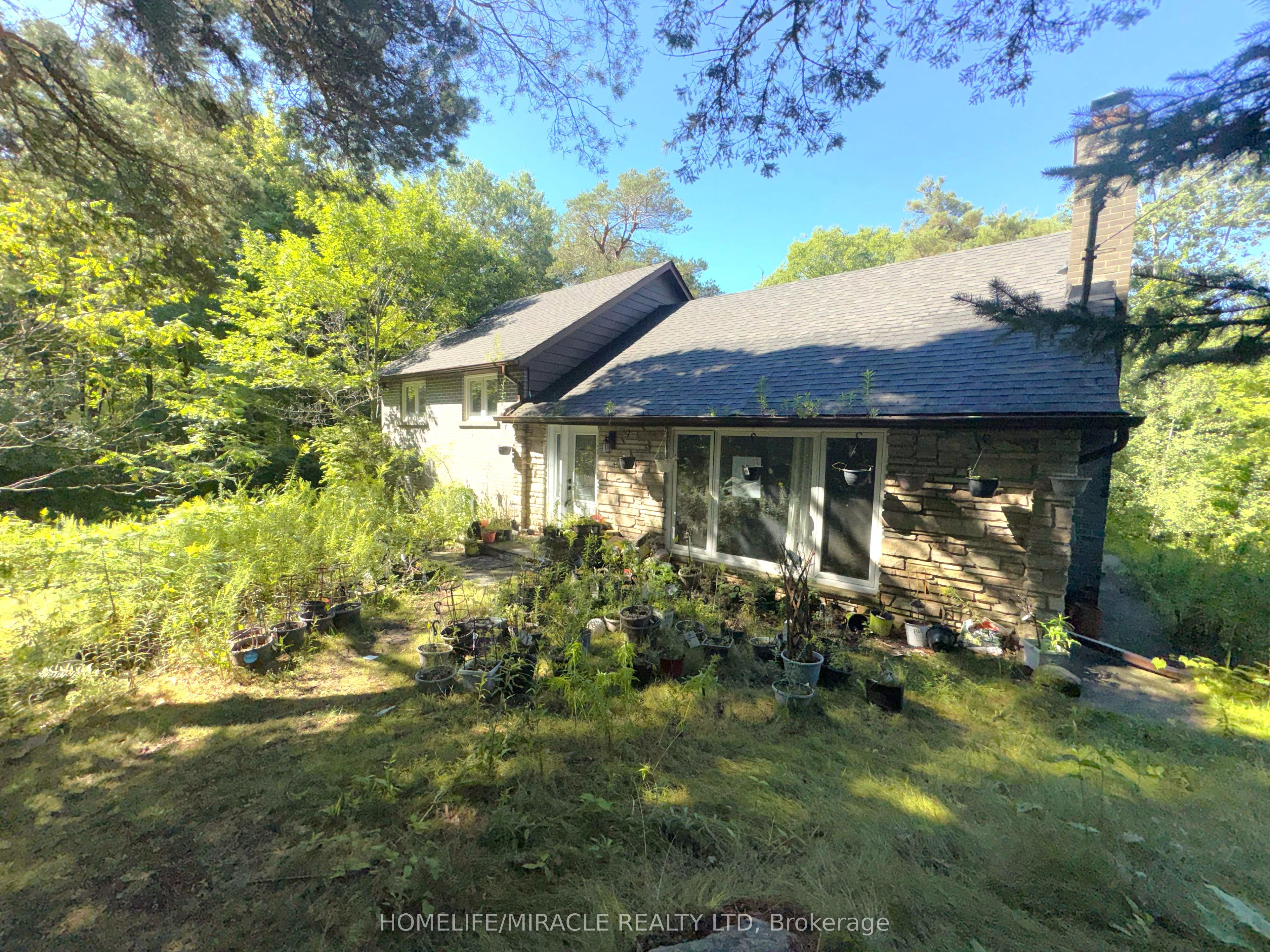 14178 Yonge Street, Aurora, ON L4G 0P5 photo 2